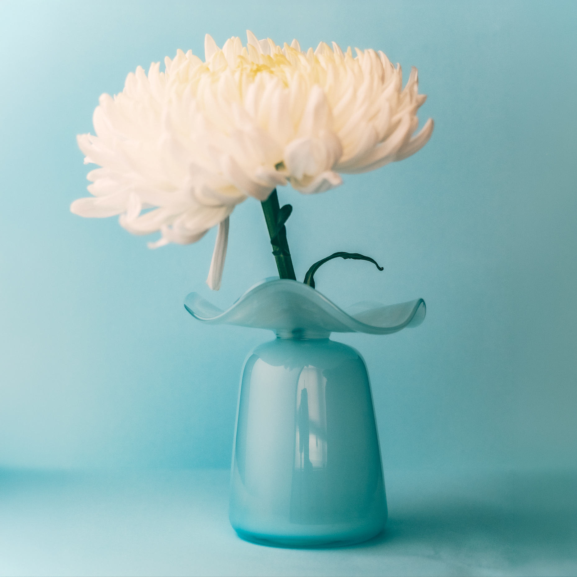 Handmade Glass Ruffle Bud Vase | Blue