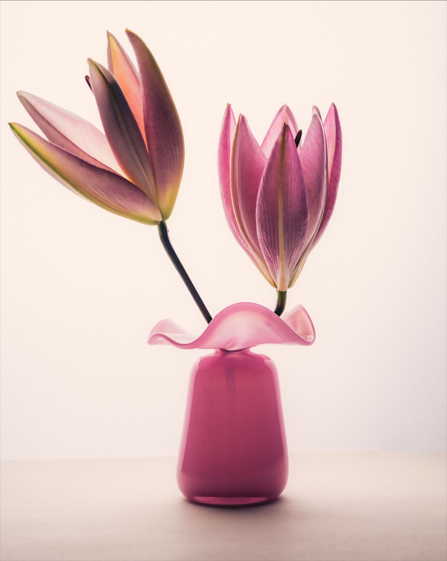 Marla Primrose Medium Handmade Glass Ruffle Bud Vase – Pink