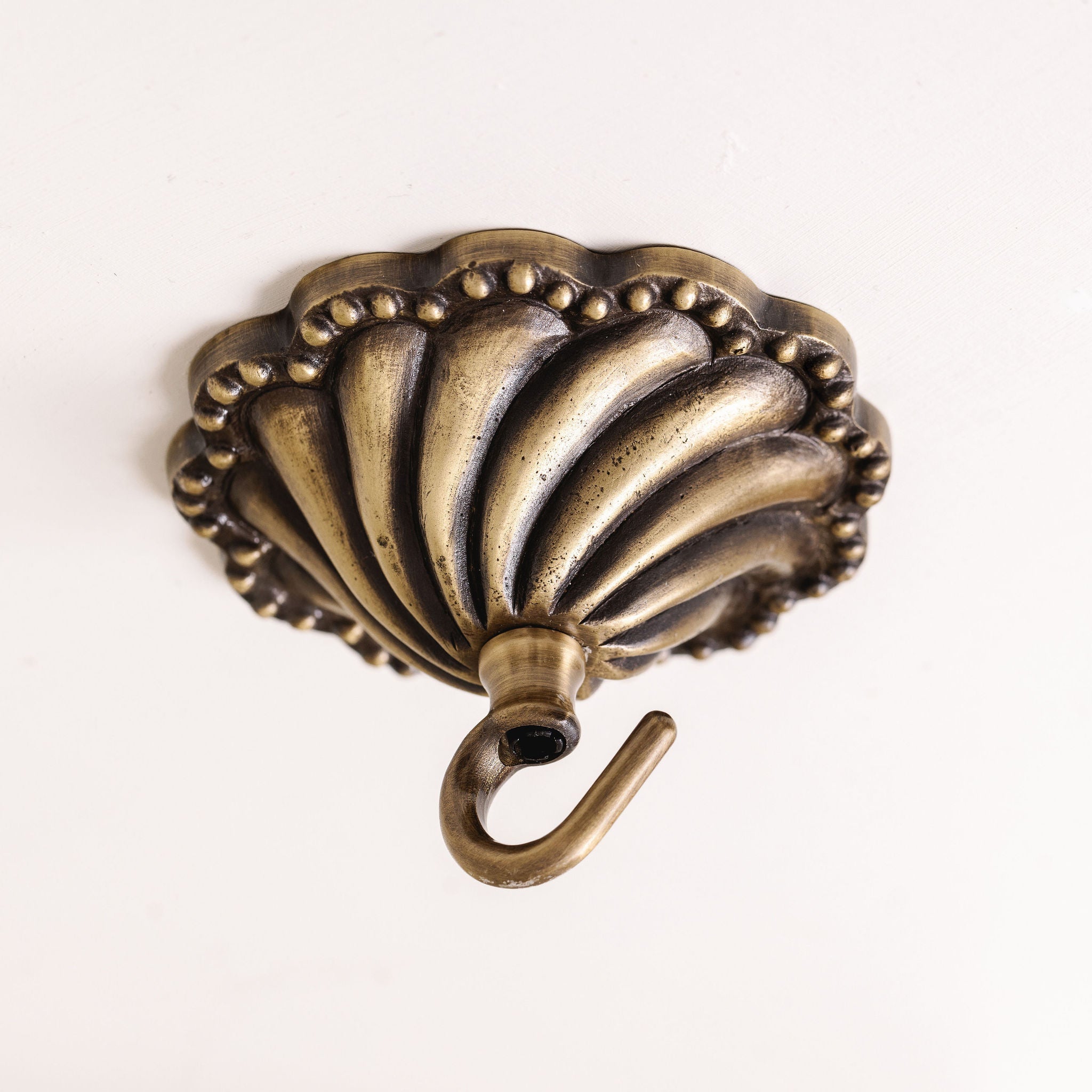 Shell Brass Ceiling Rose (Chrome)