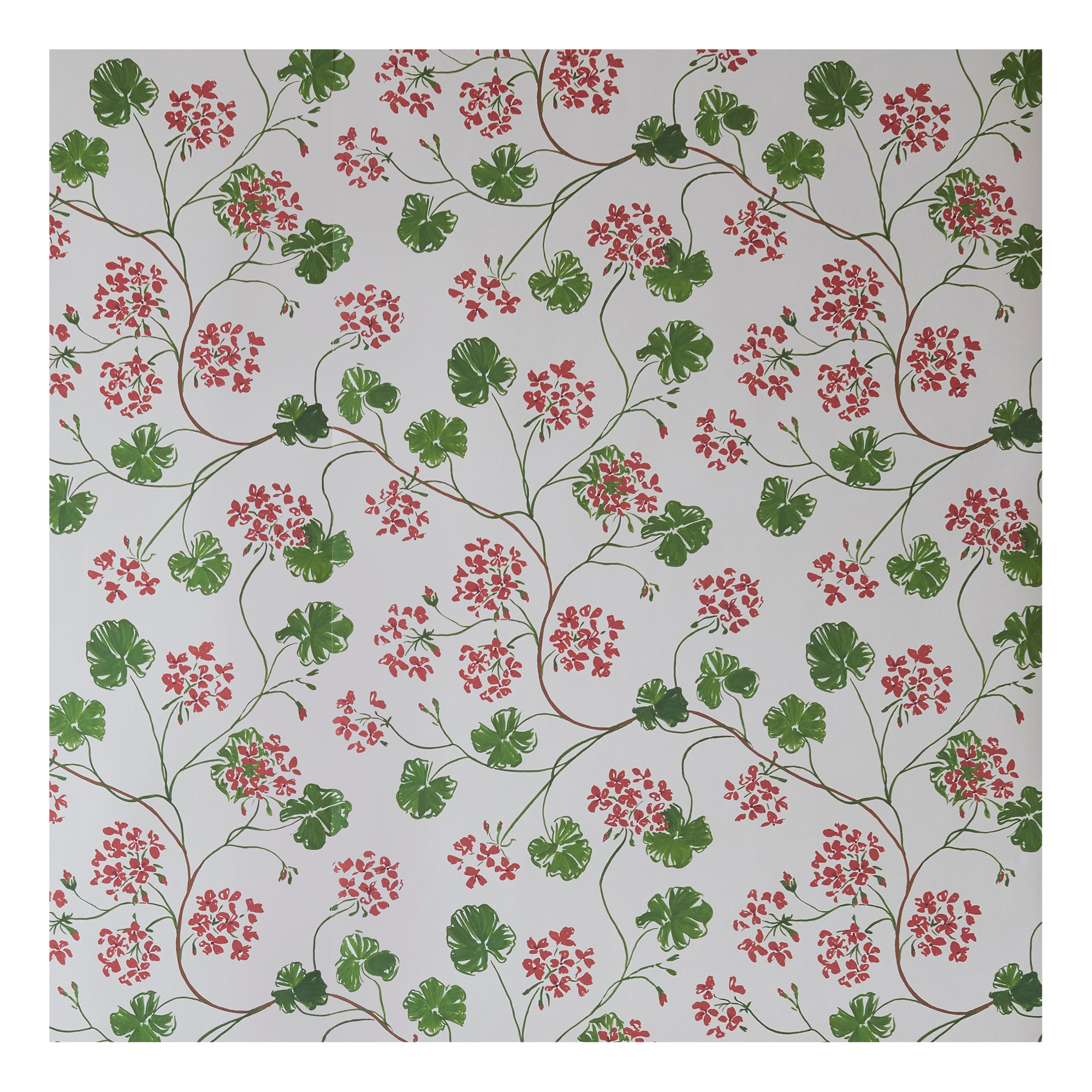 Geraniums wallpaper