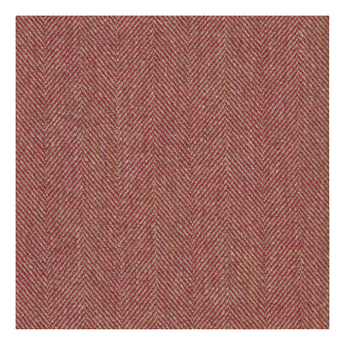 Red Kite Highland Tweed