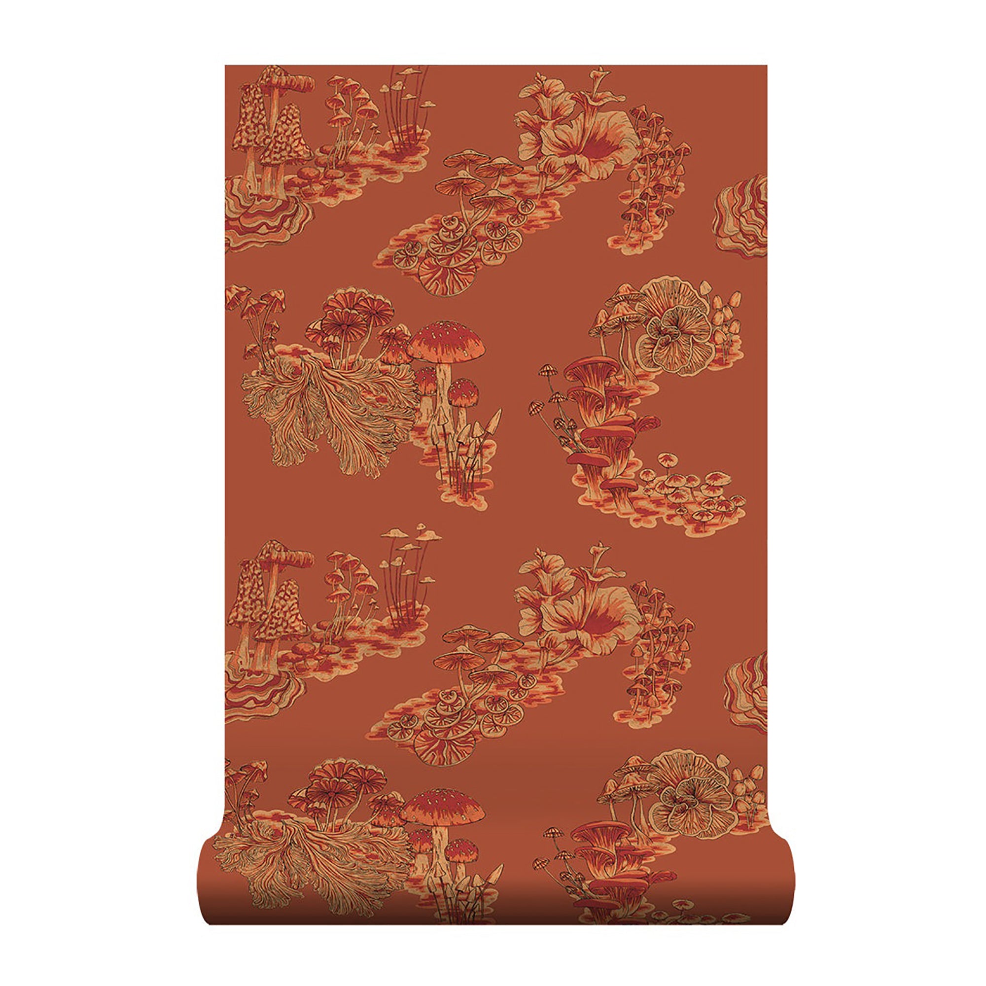 Fungi Aleuria Wallpaper