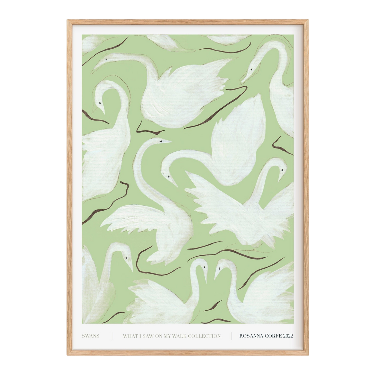 Swans Green Art Print
