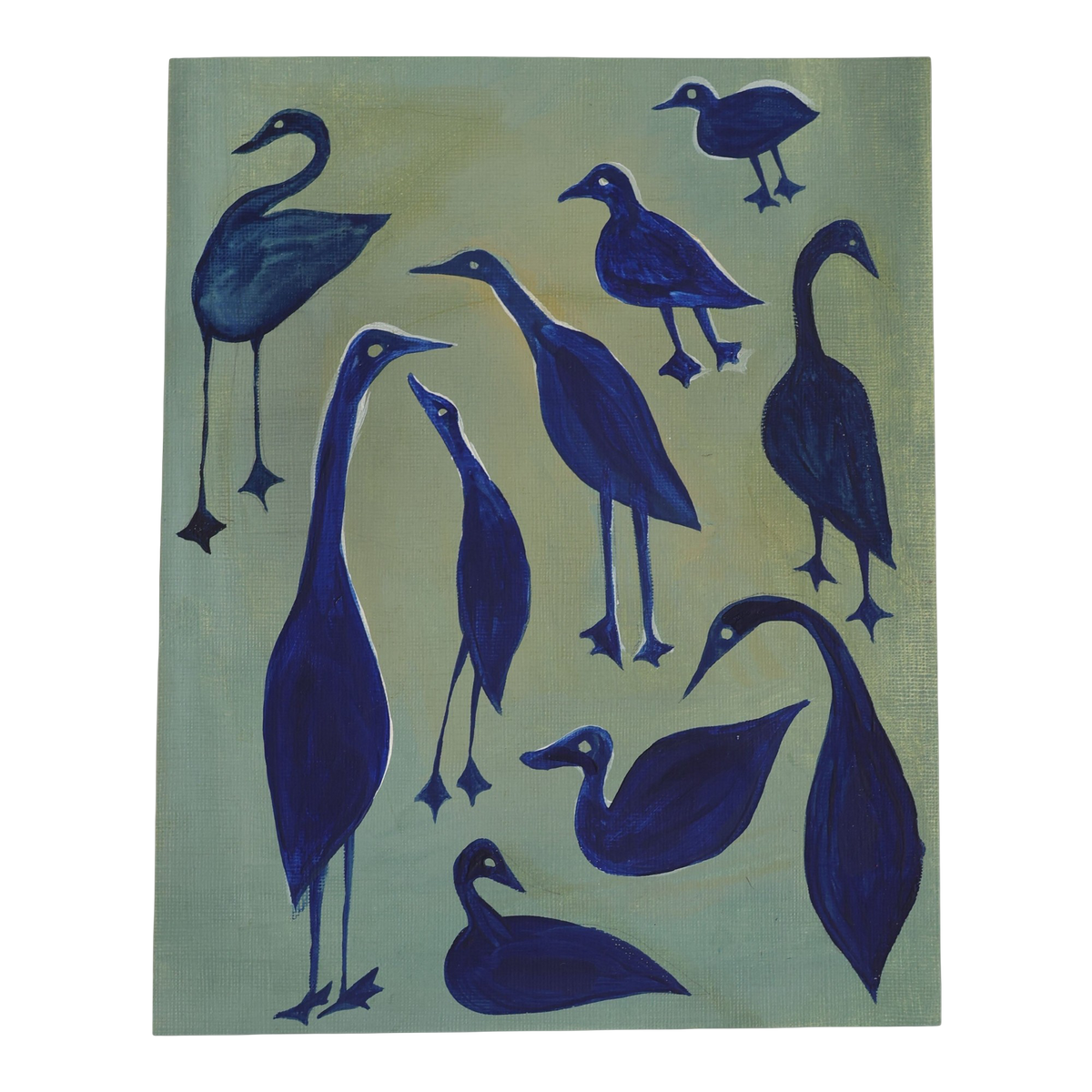 Blue Ducks