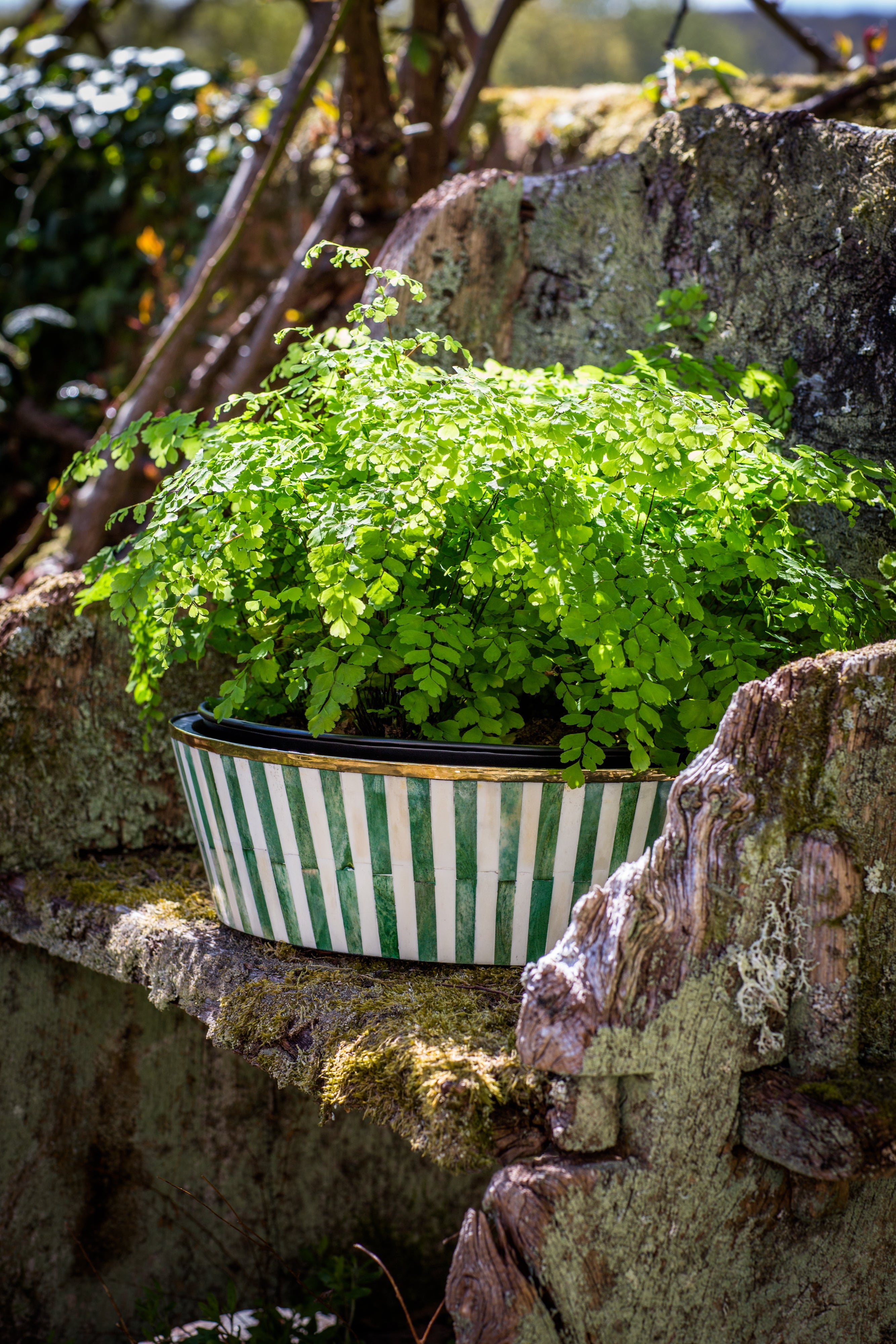 Round Inlay Planter | Large | Green | Striped