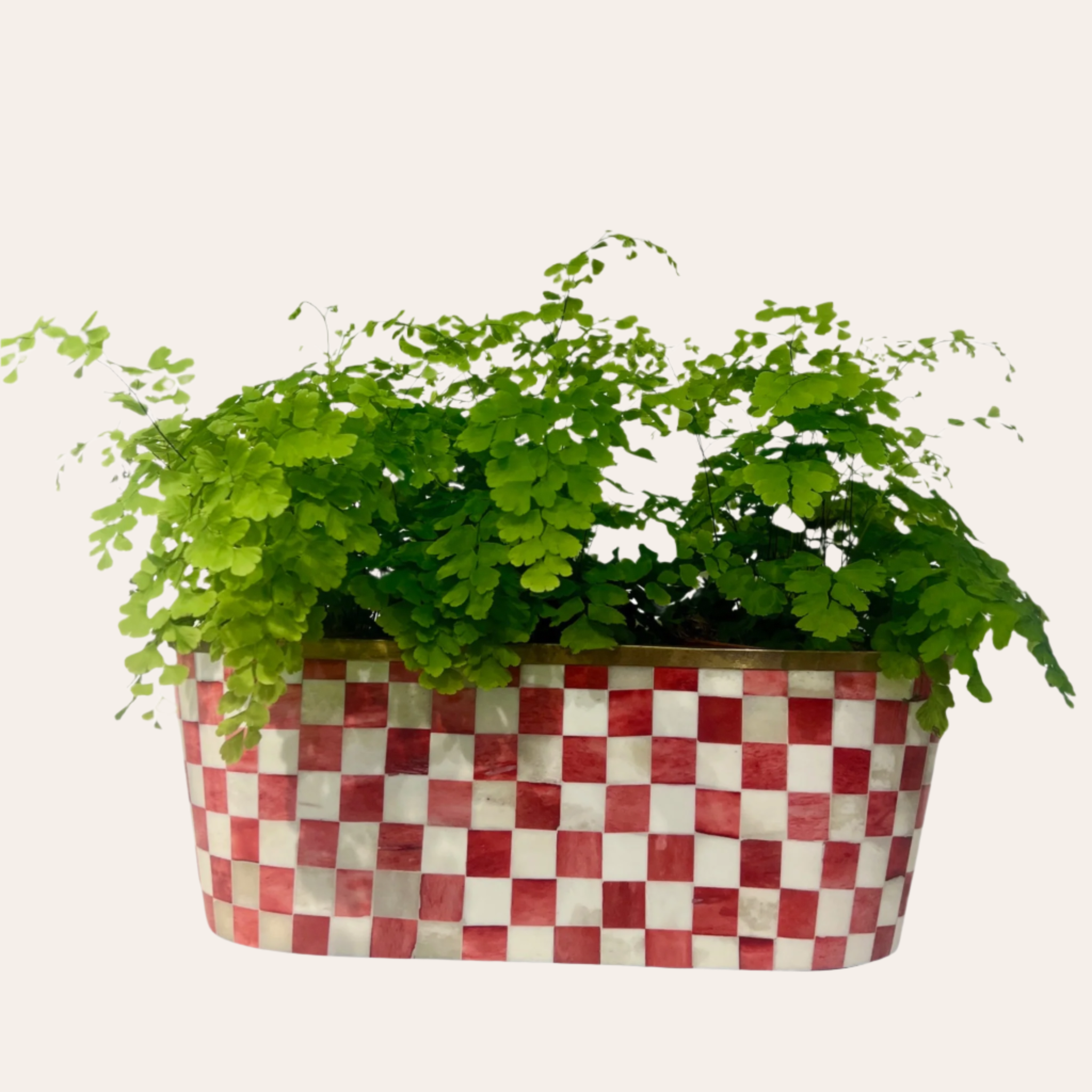 Oblong Inlay Planter | Large |  Red | Chequered