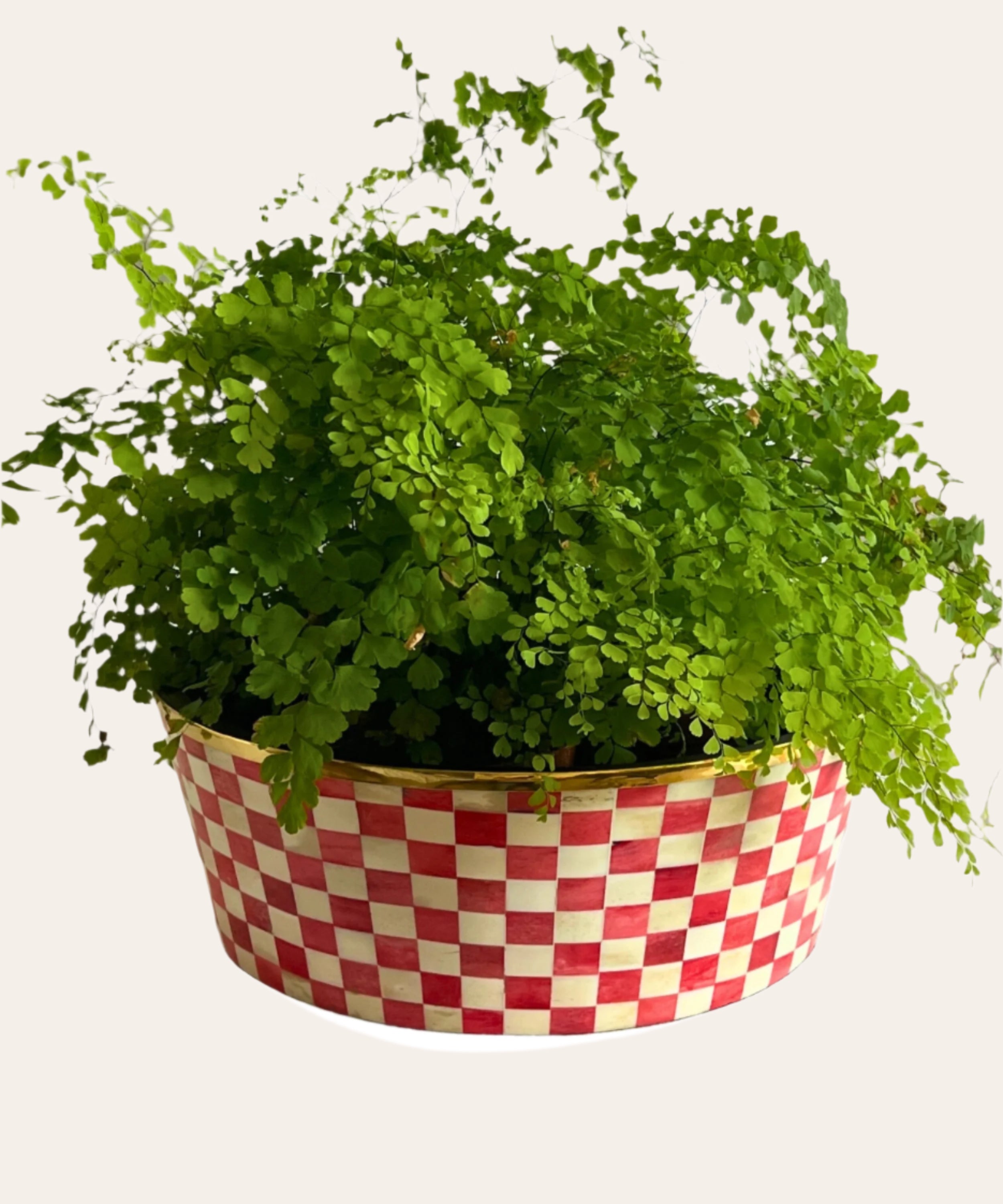 Round Inlay Planter | Large | Red | Chequered