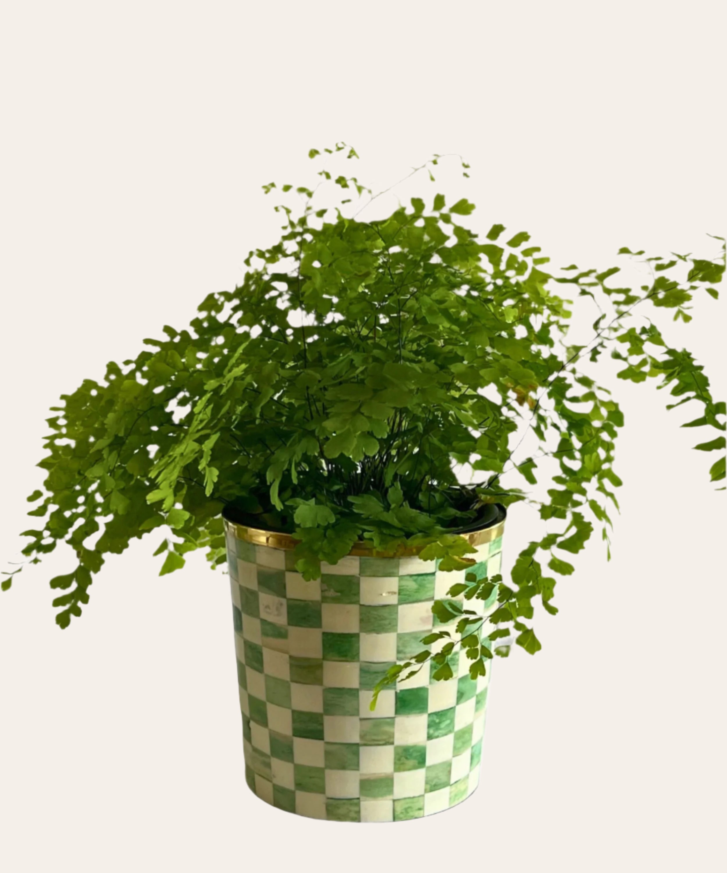 Round Inlay Planter | Medium | Green | Chequered
