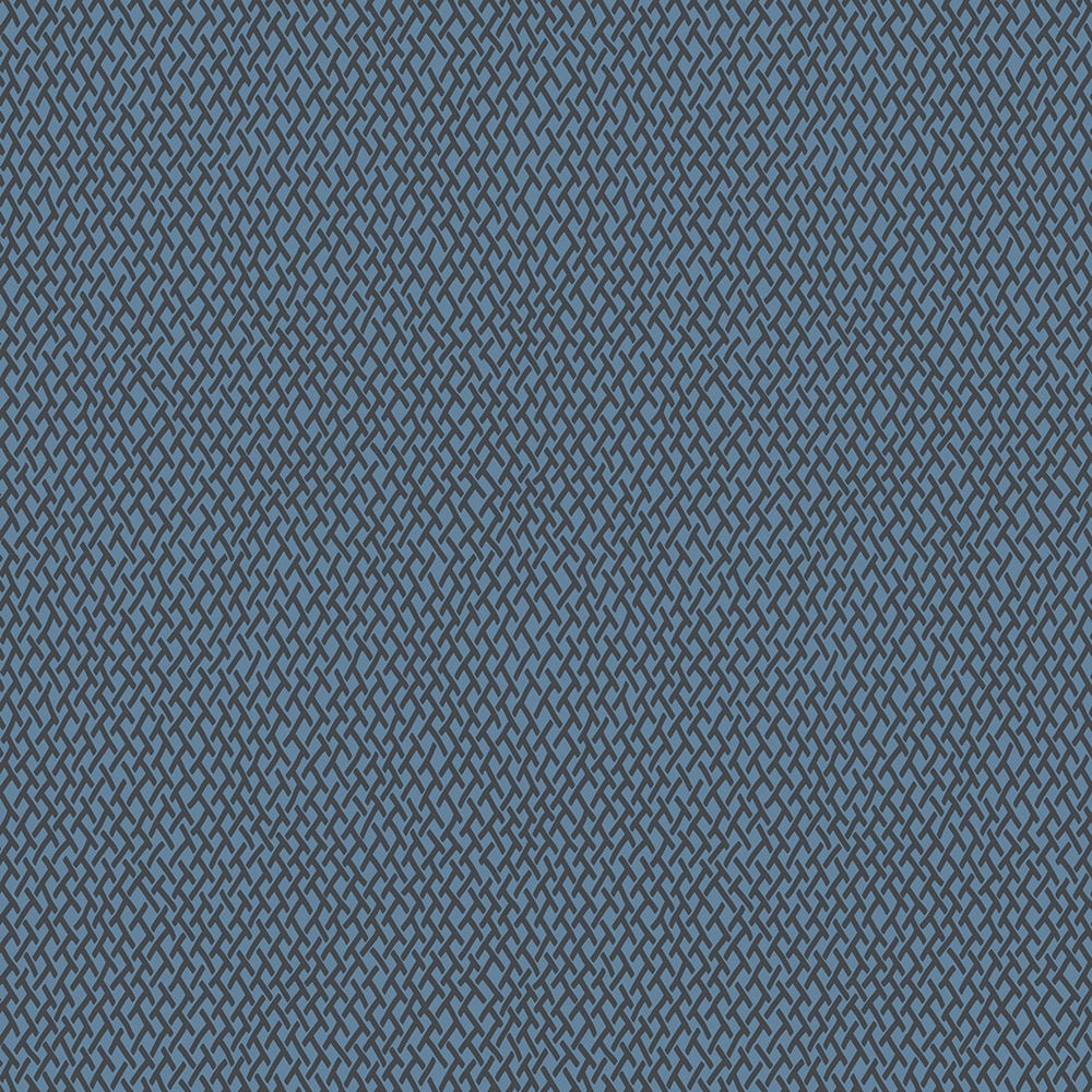 blue_4409_amime.jpg