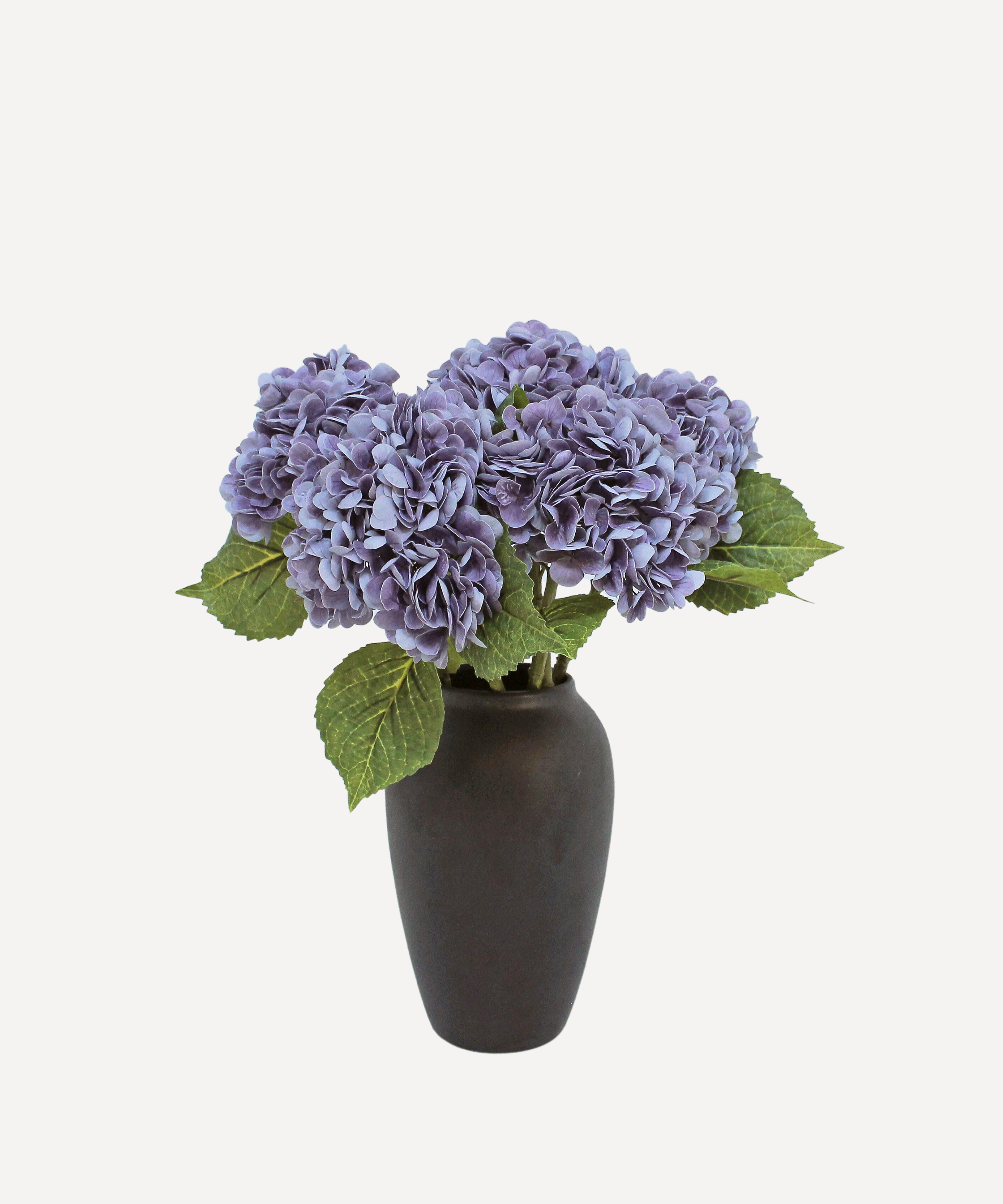 Lavender5.png
