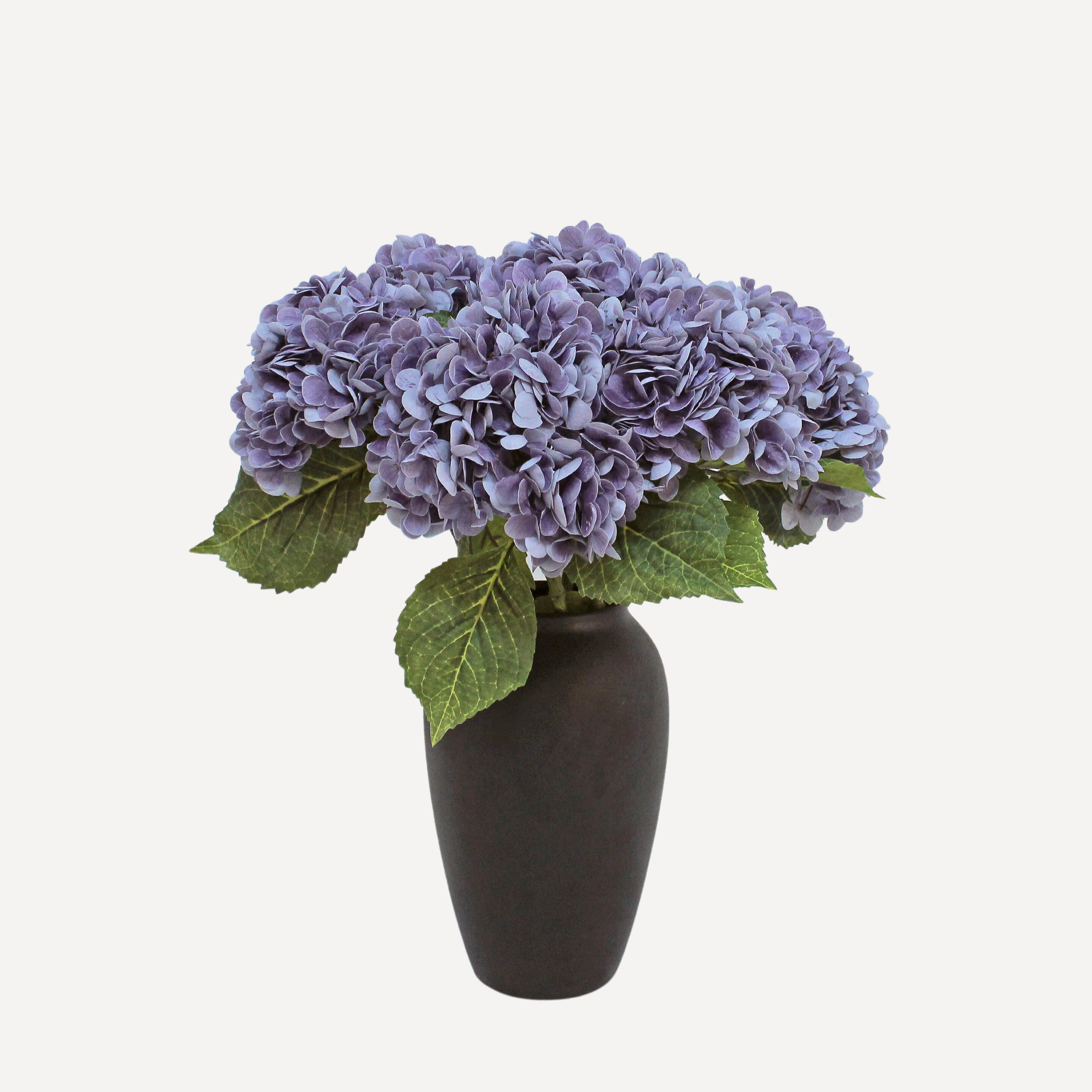 Lavender7.png