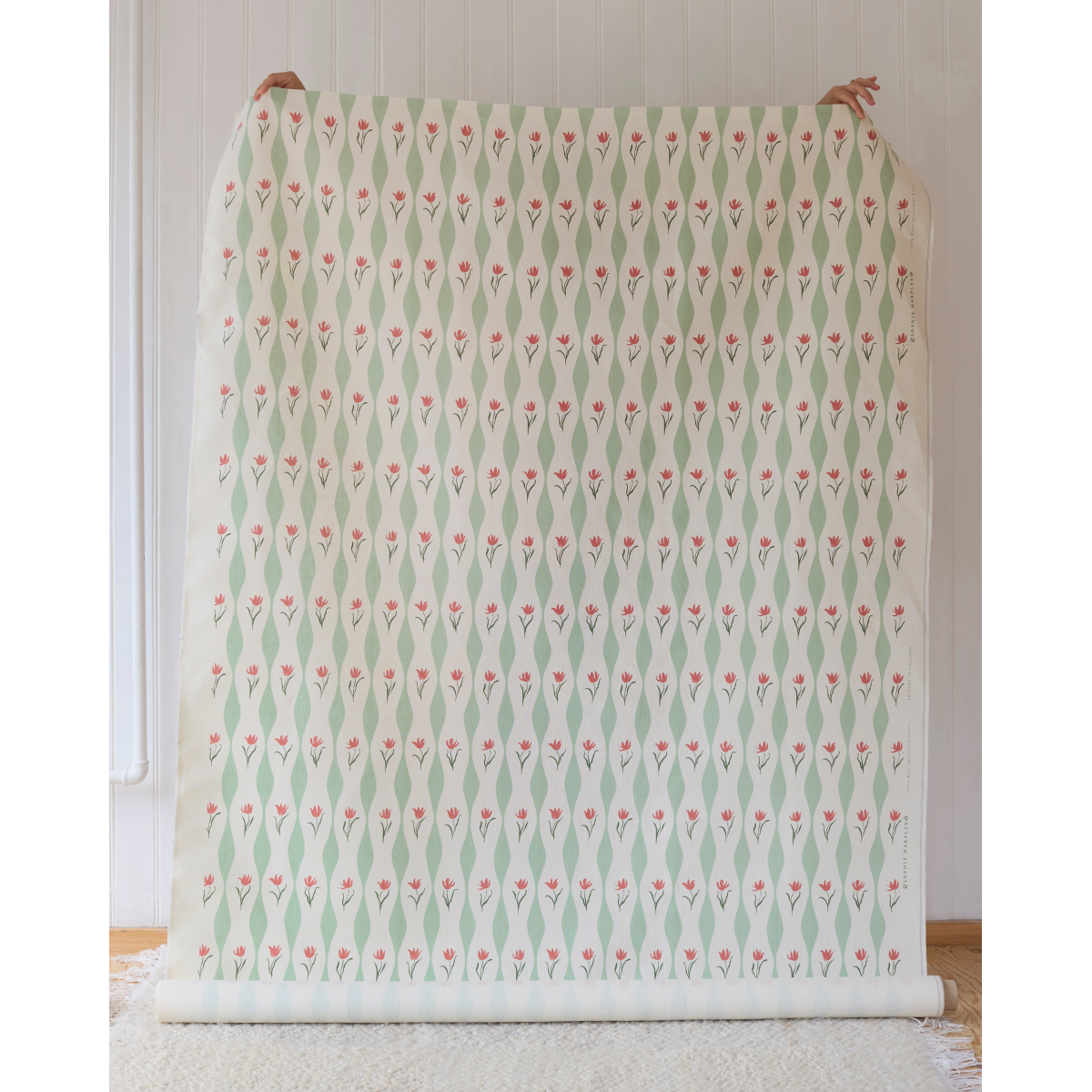 main.png