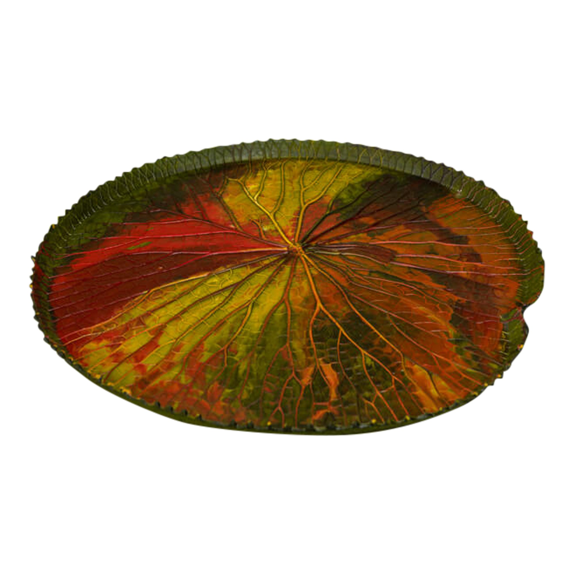 Vitoria-Regia Large Organic Latex Centrepiece With Edges , Colourful