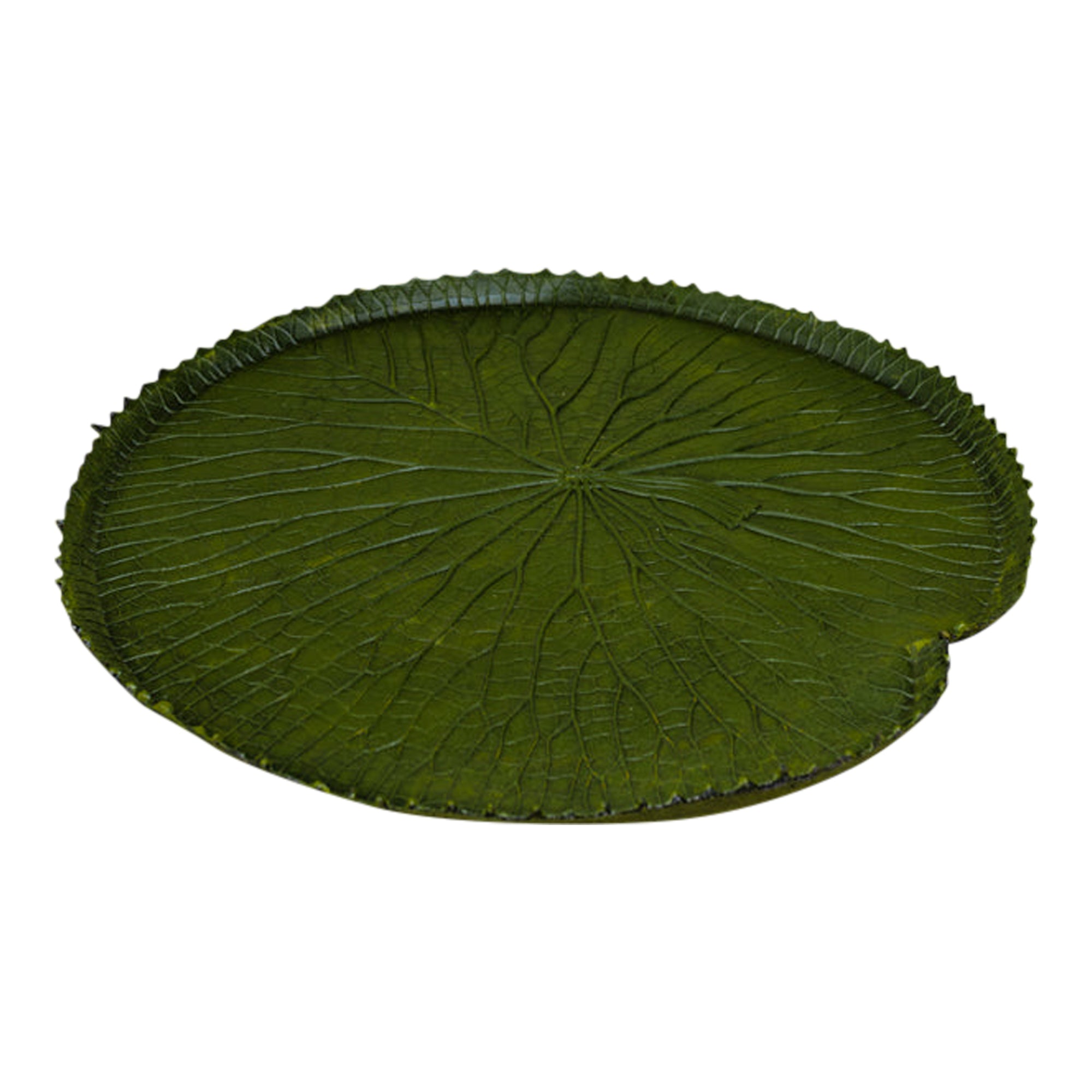 Vitoria-Regia Large Organic Latex Centrepiece With Edges, Dark Green