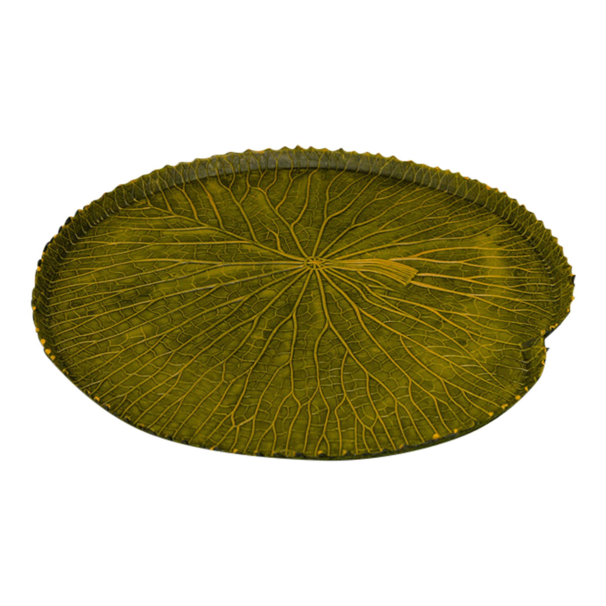 Vitoria-Regia Large Organic Latex Centrepiece With Edges, Yellowish Green