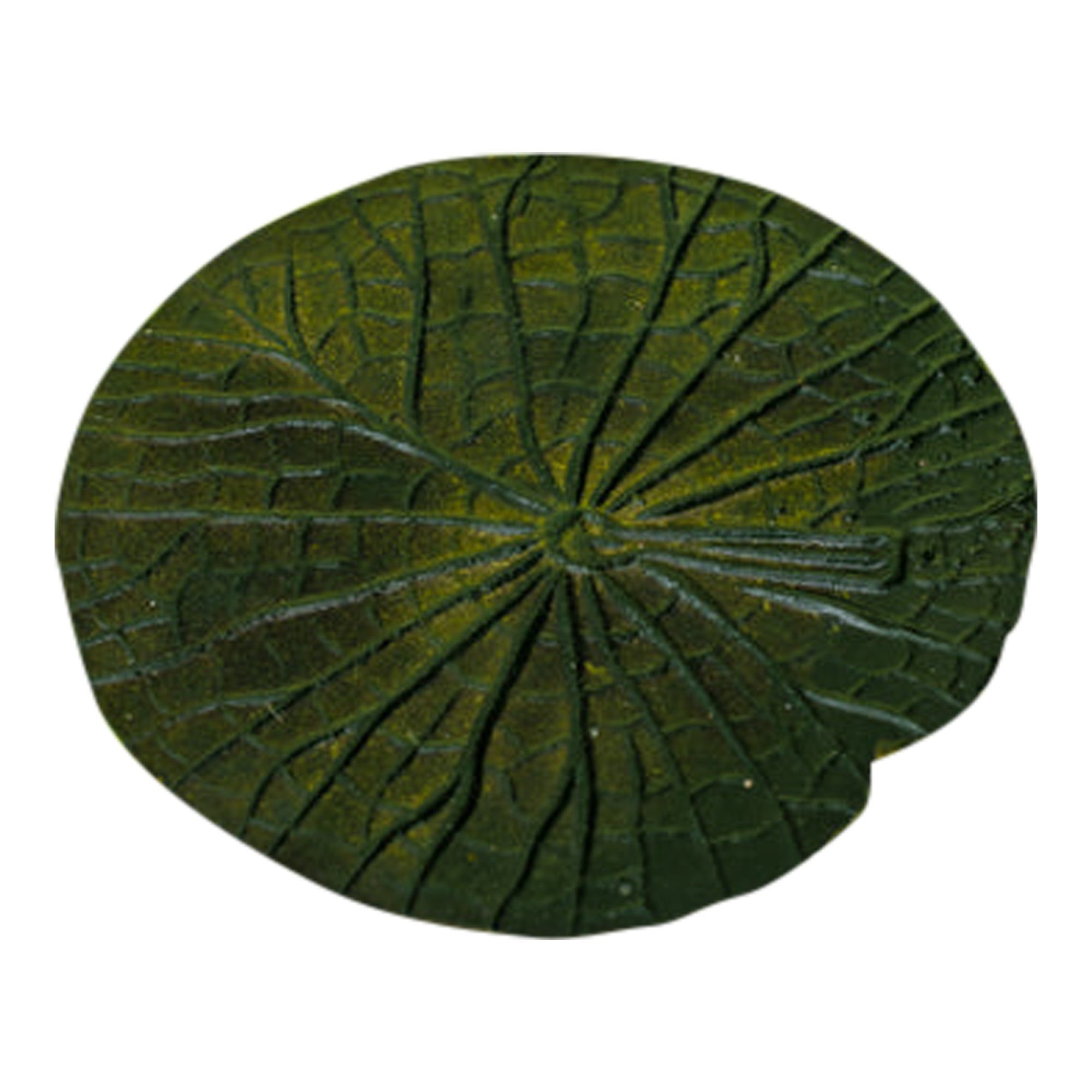 Vitória-Régia Organic Latex Coaster, Dark Green