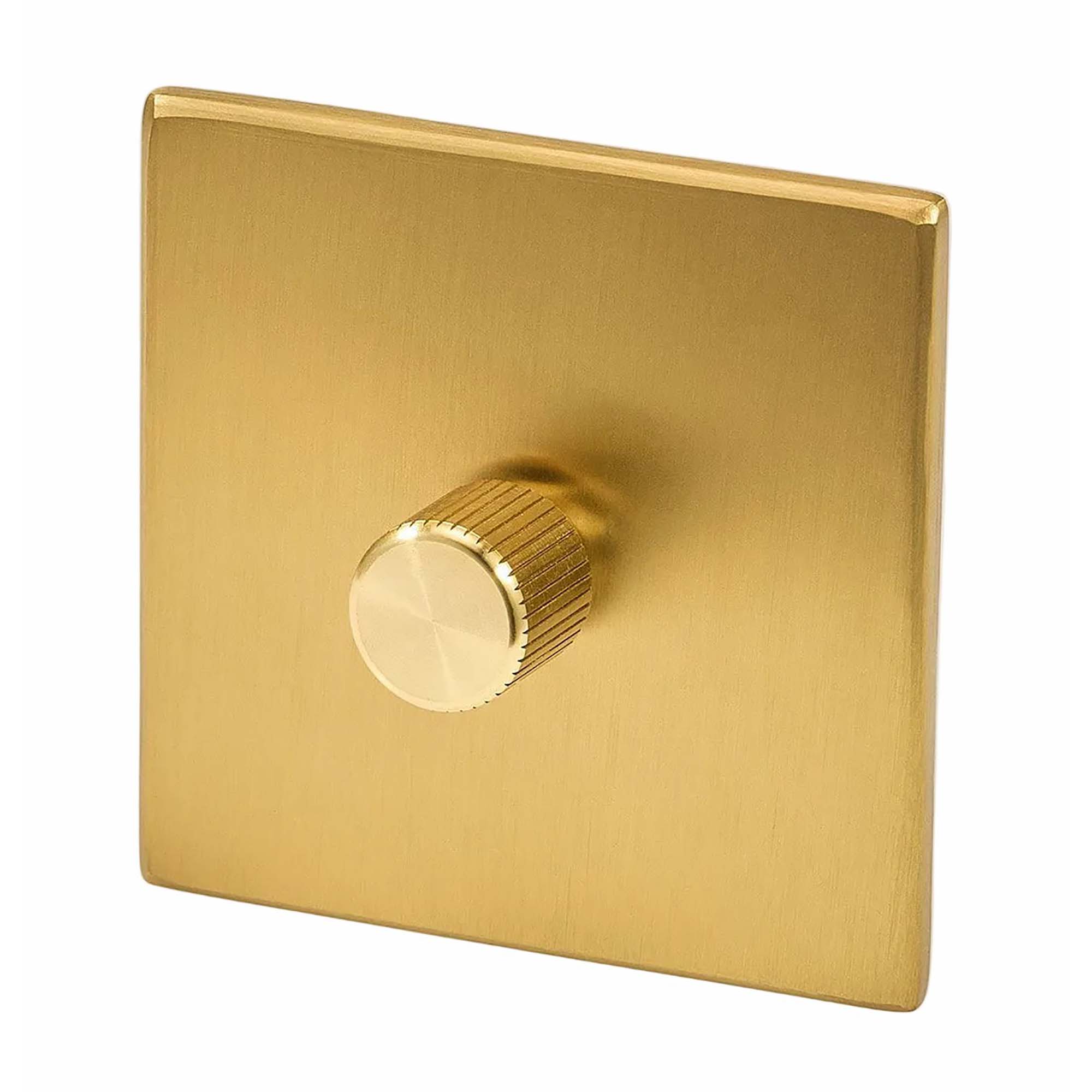 Single Rotary Wall Dimmer in Brass