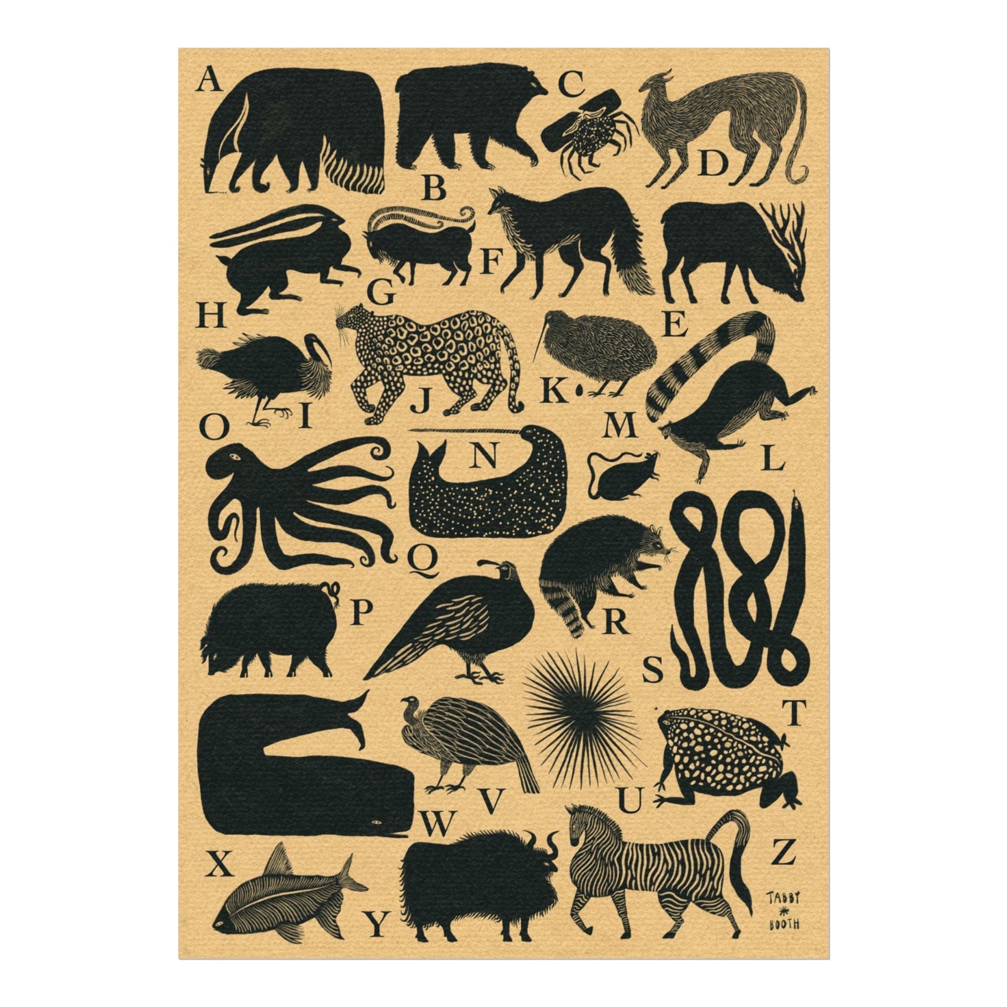 Tabby Booth Fine Art Print • Animal Alphabet