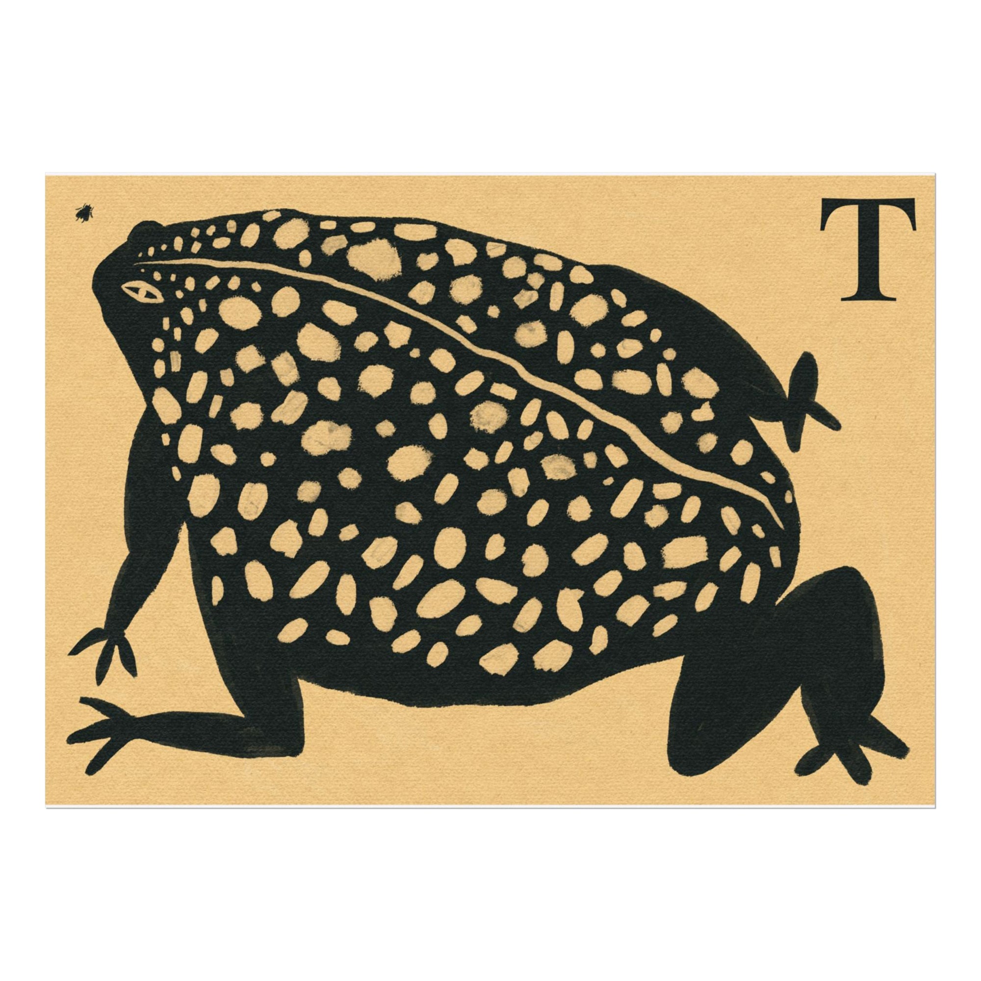 Tabby Booth Fine Art Print • T for Toad