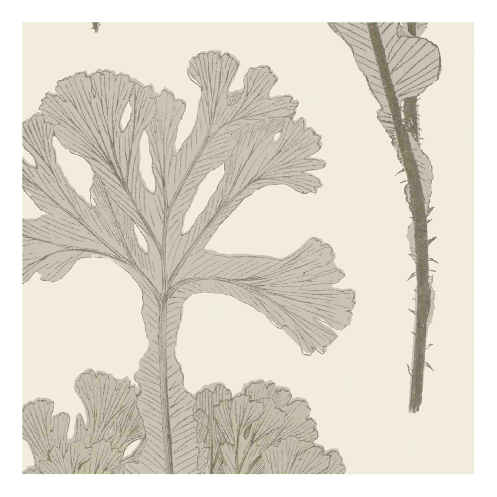 Sea Cabbage Fabric - Antique White