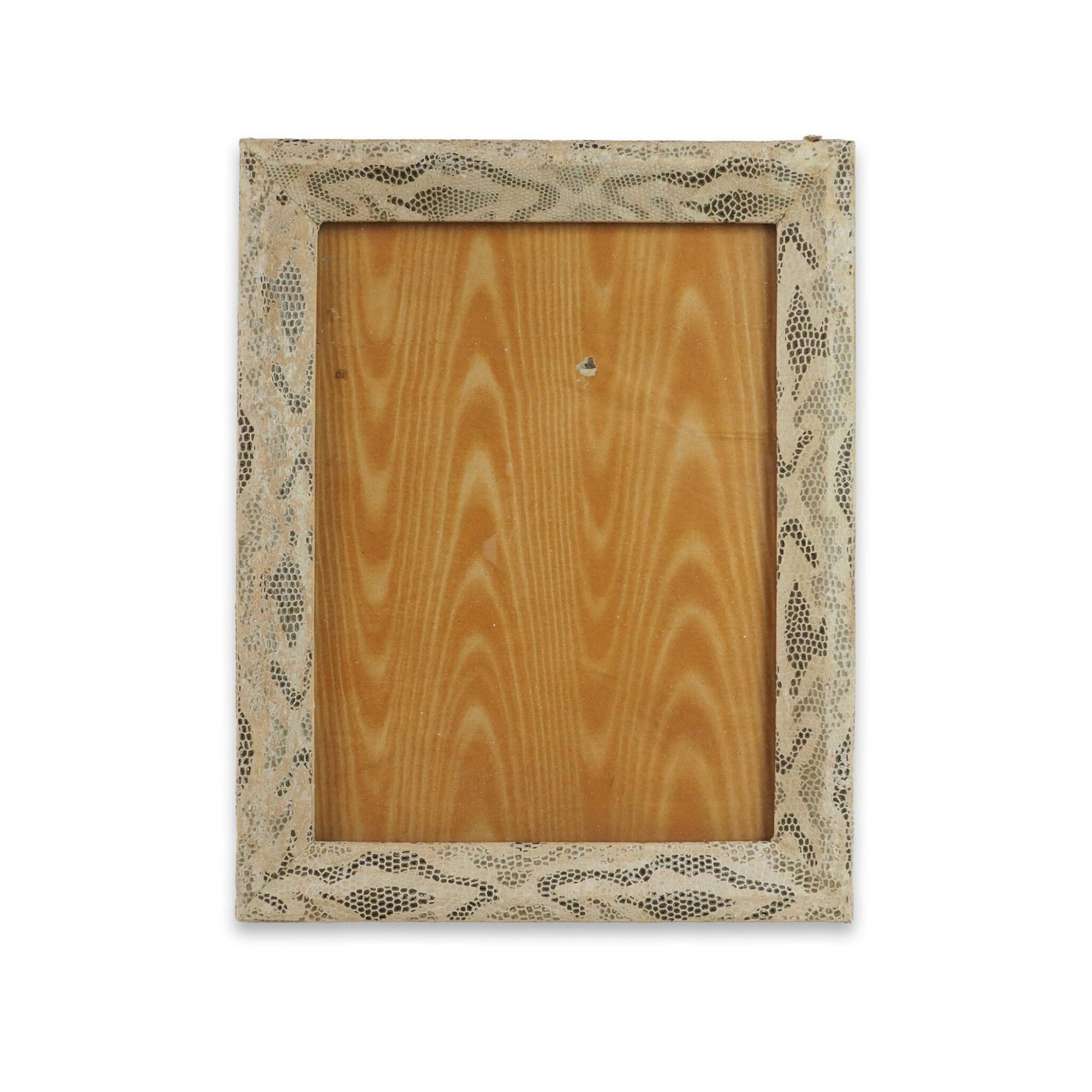 Antique Snake Print Frame