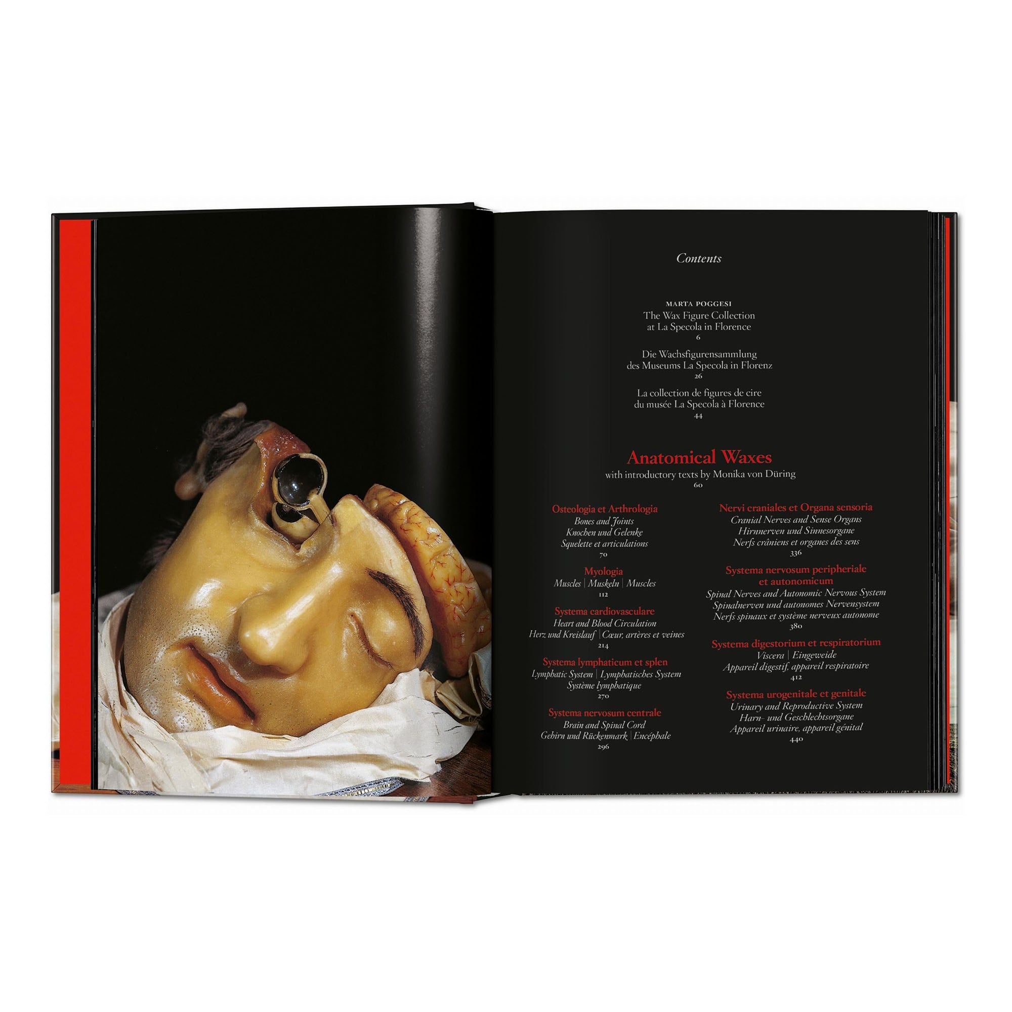 Anatomical Waxes. 45th Ed. (German, French, English)