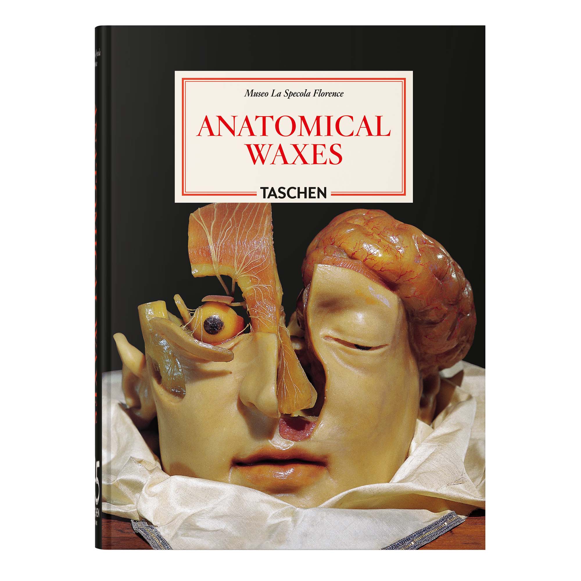 Anatomical Waxes. 45th Ed. (German, French, English)