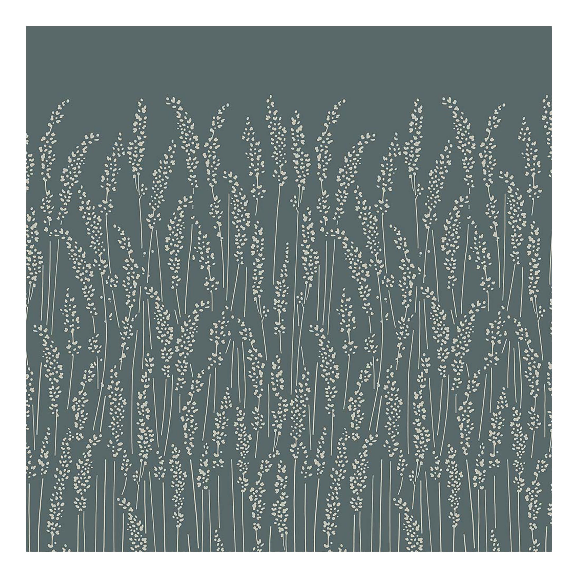 Feather Grass