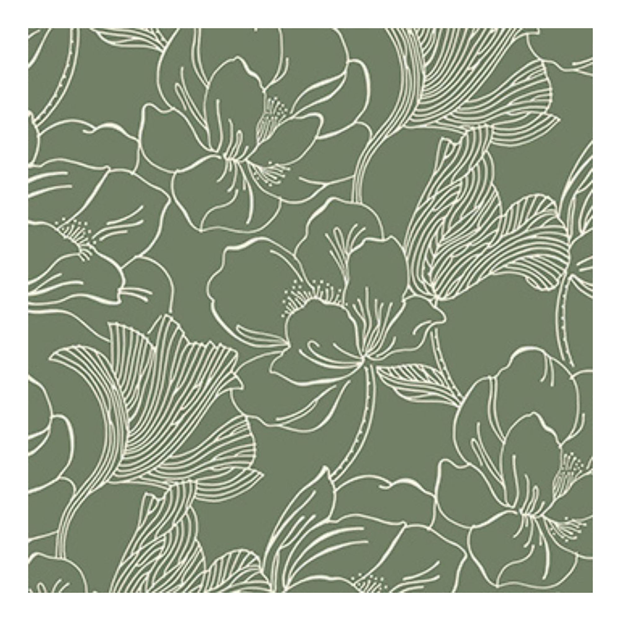 Helleborus