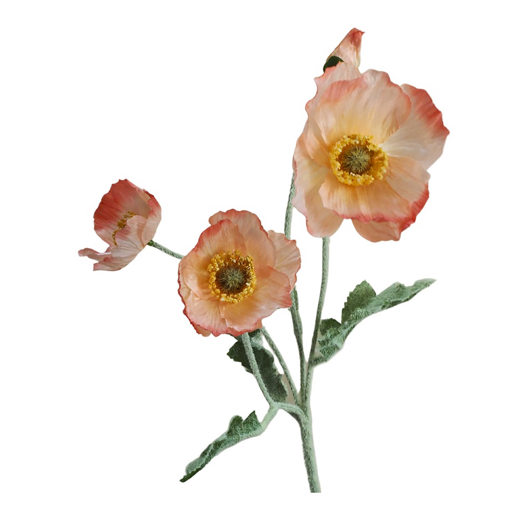 Poppies | Faux Flower Stems | Multiple Colours