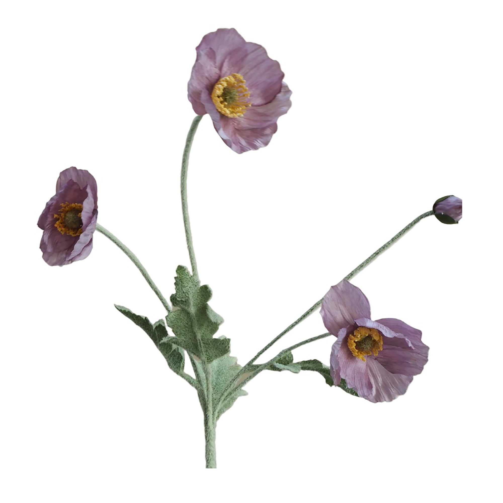 Poppies | Faux Flower Stems | Multiple Colours