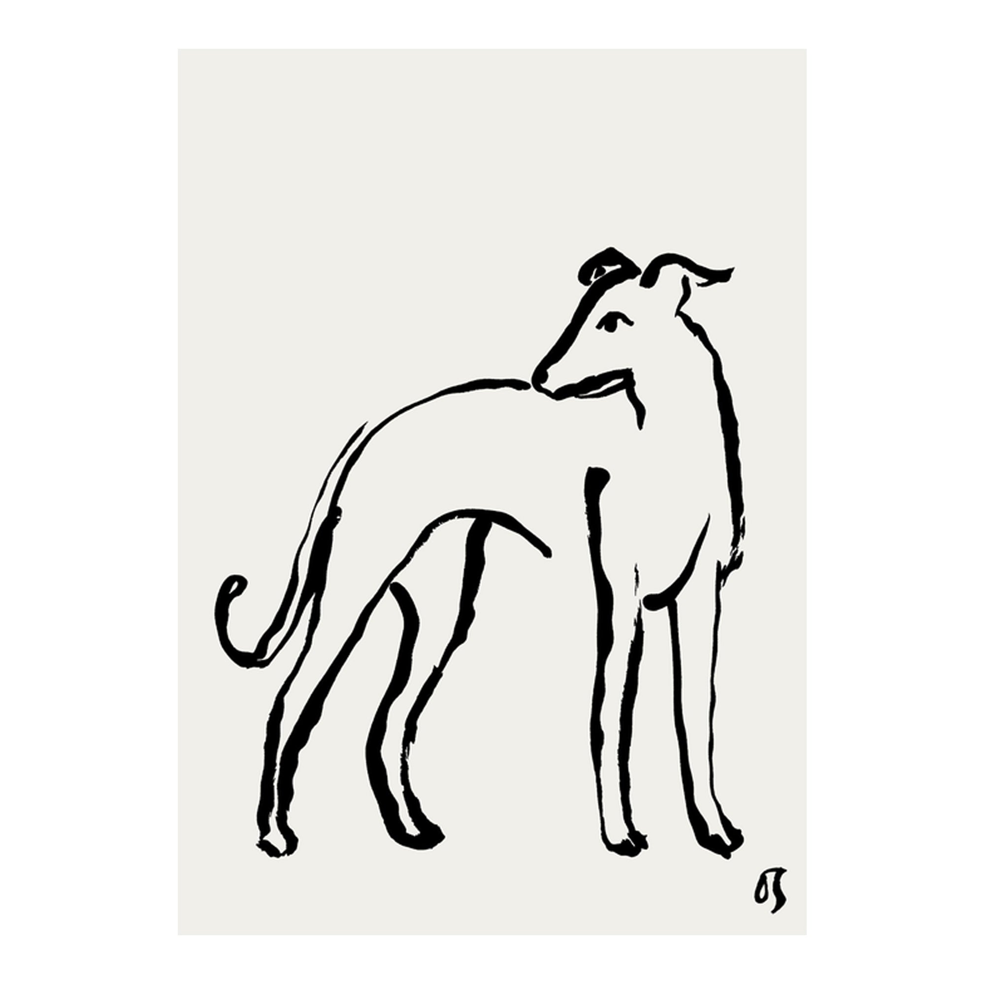 The Whippet