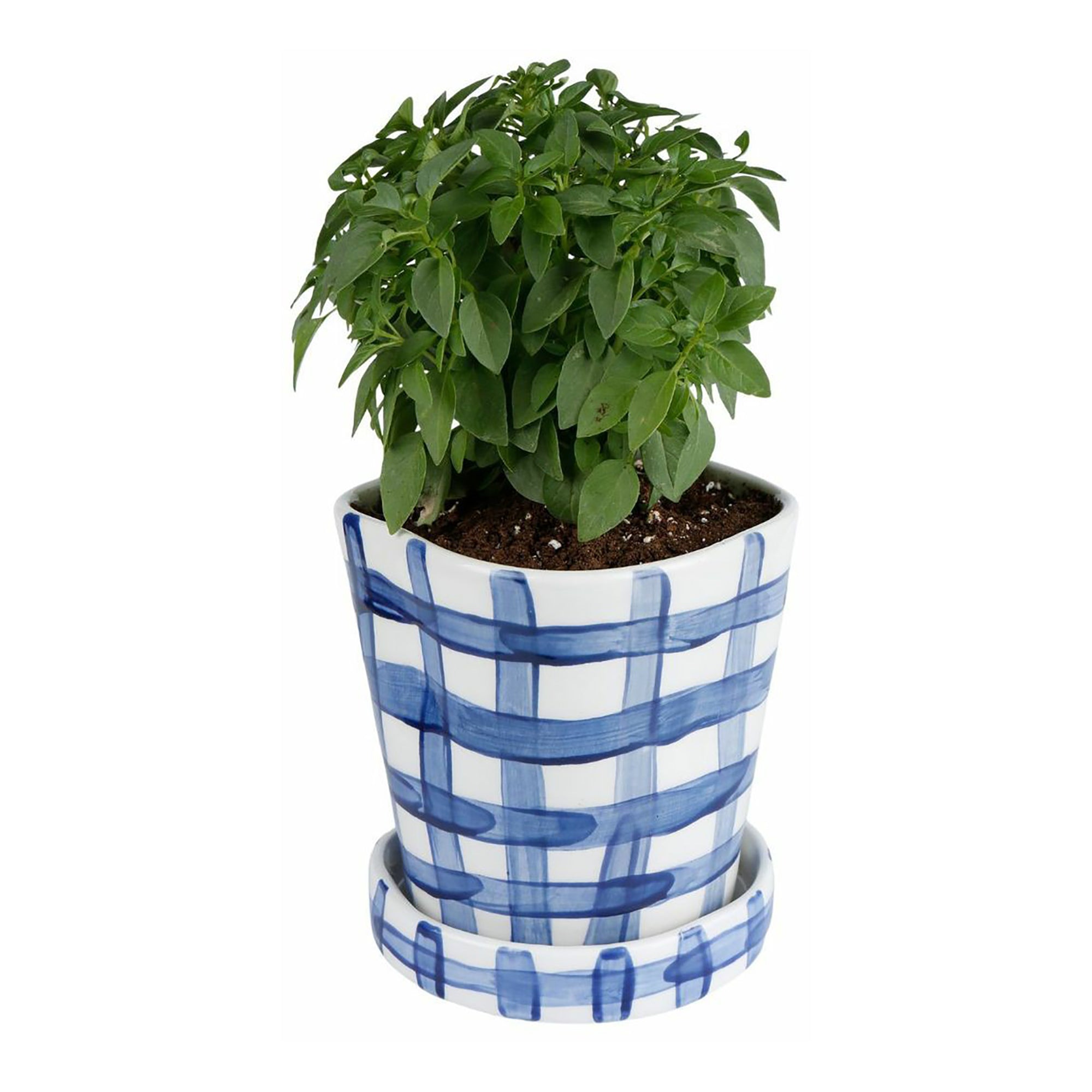 Vichy Blue Planter