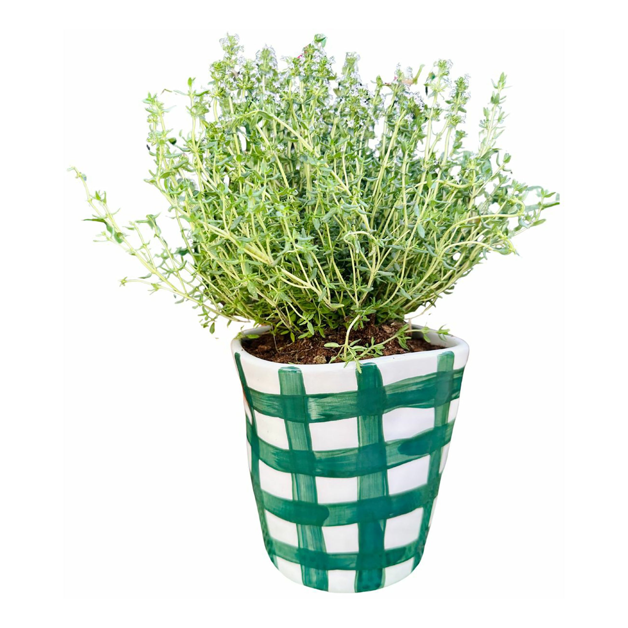 Vichy Green Planter