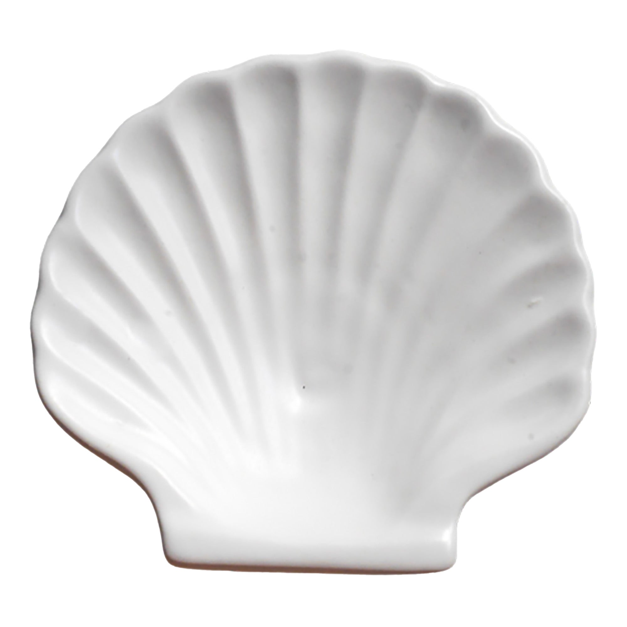 Shell Side Plate - Matte