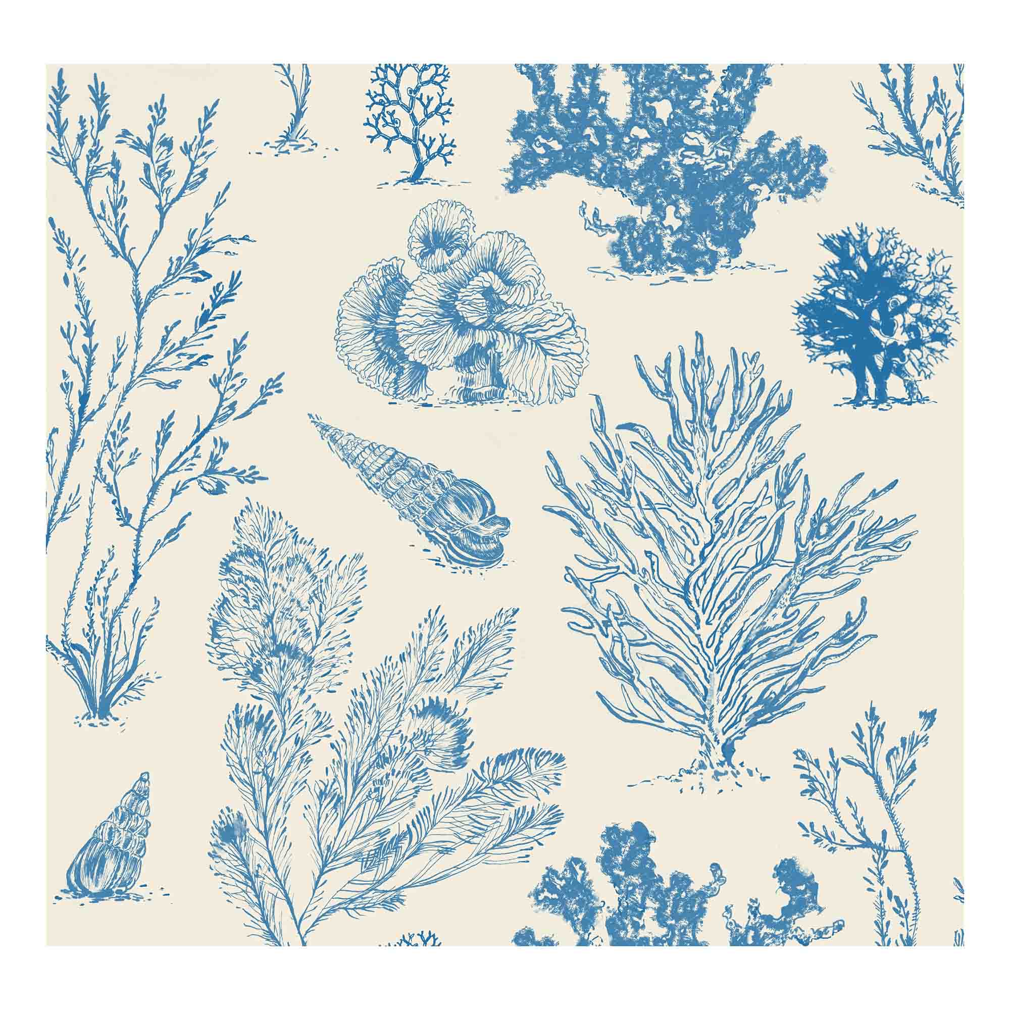 Coral Etchings Wallpaper - OCEAN