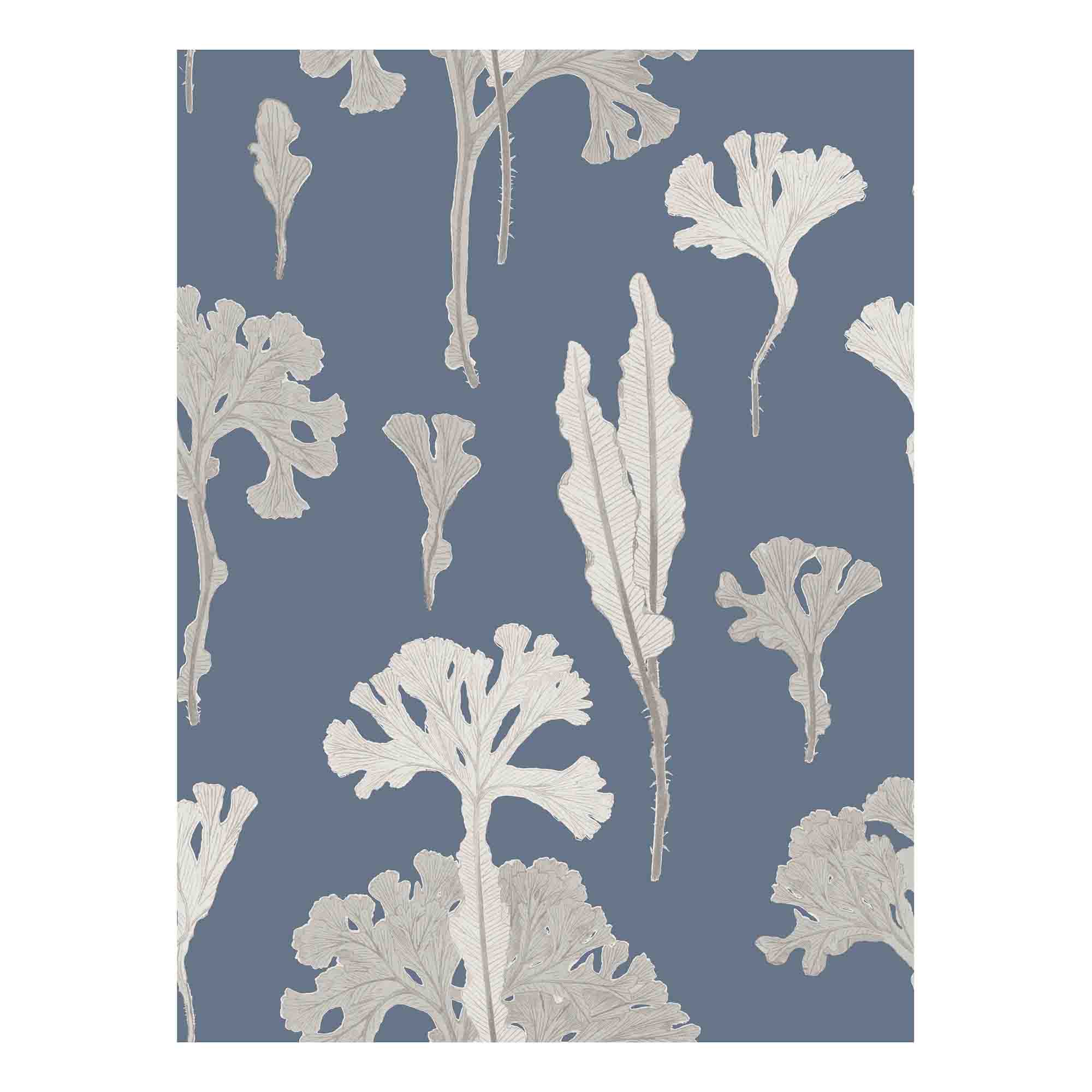 Sea Cabbage Wallpaper - NAVY