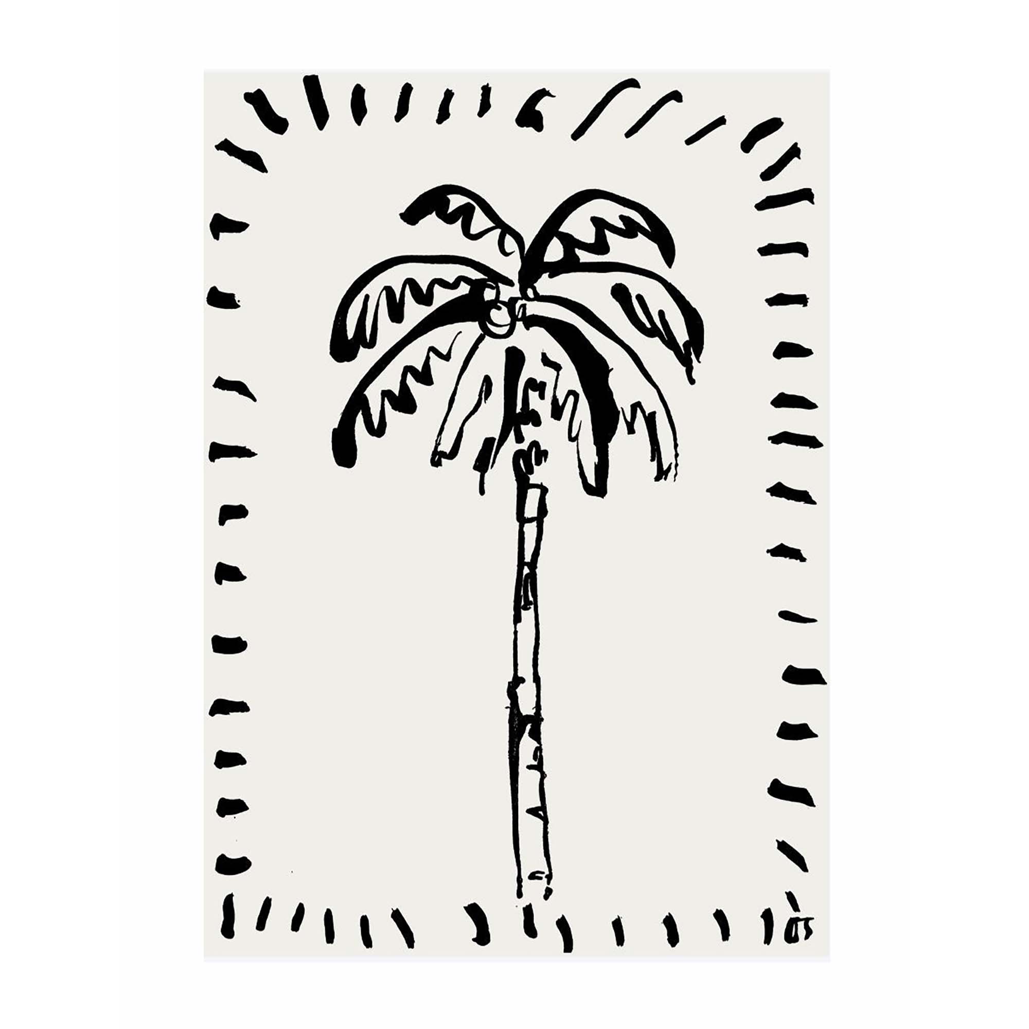 The Coconut Palm