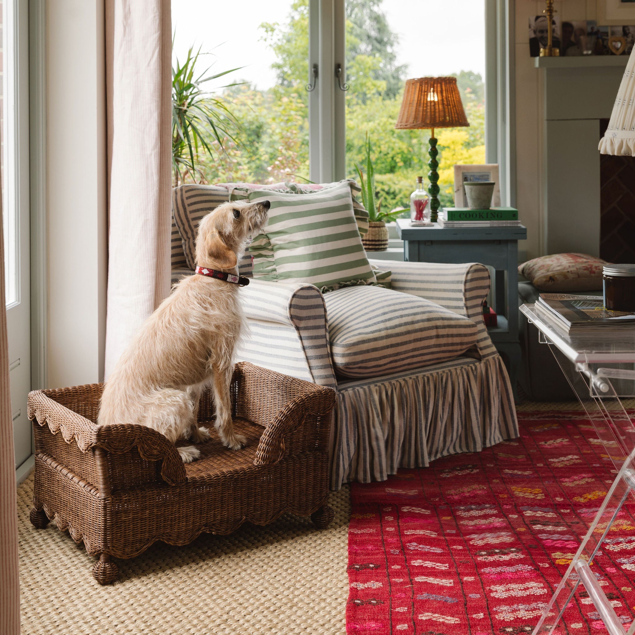 Ziggy Scalloped Rattan Dog Bed