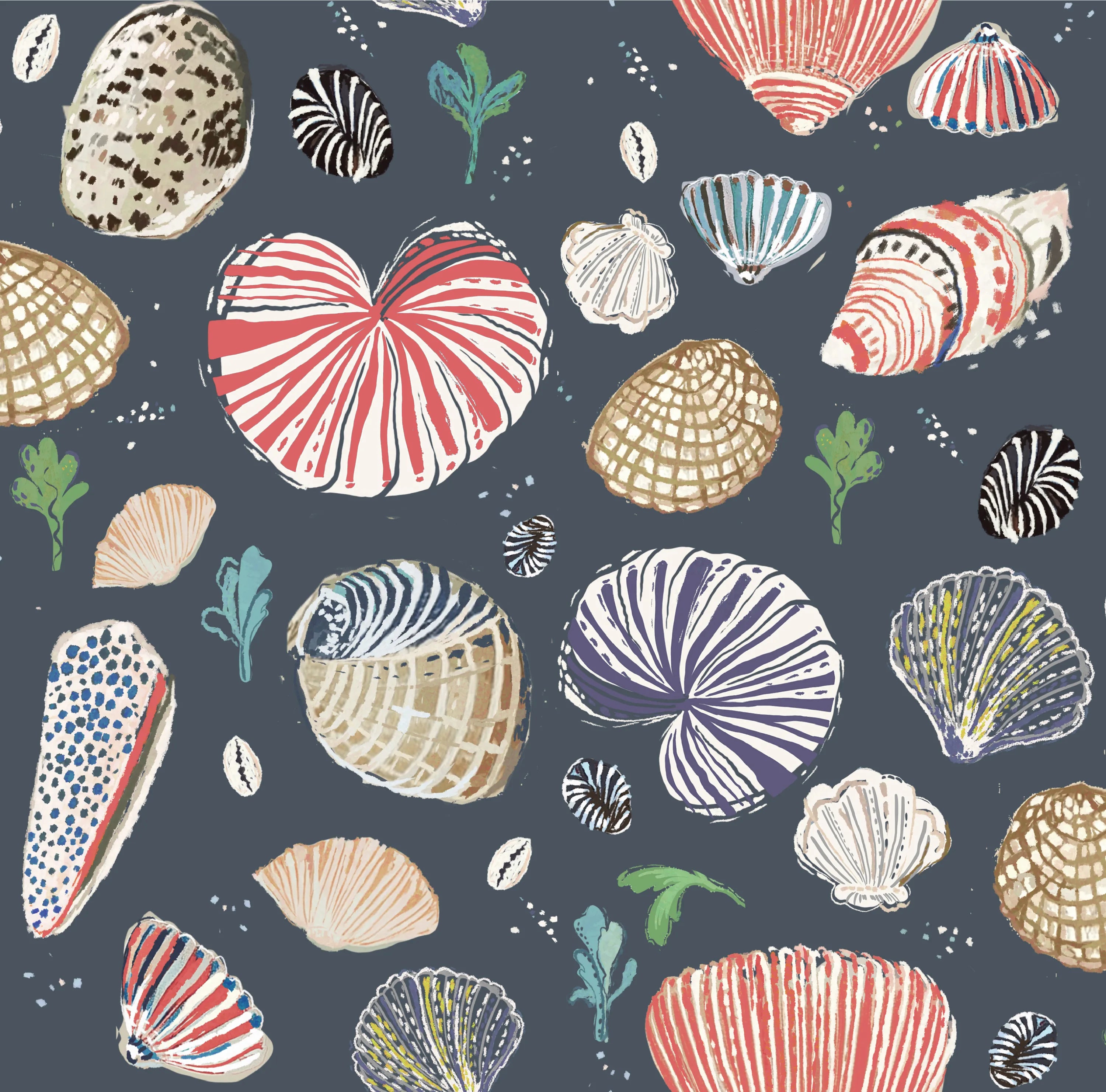 Little Nautilus Fabric - Navy