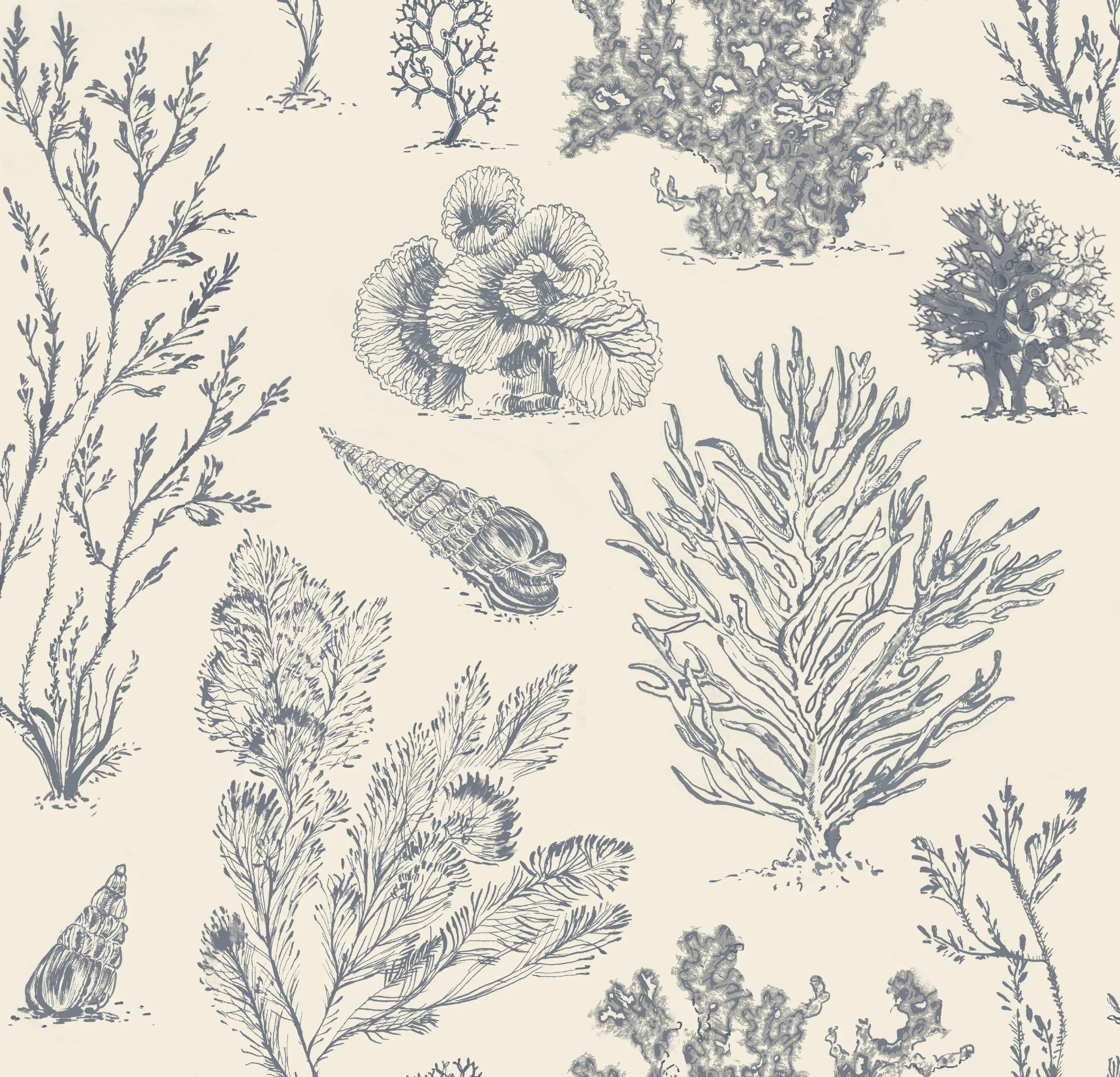 Coral Etchings Wallpaper - CHARCOAL