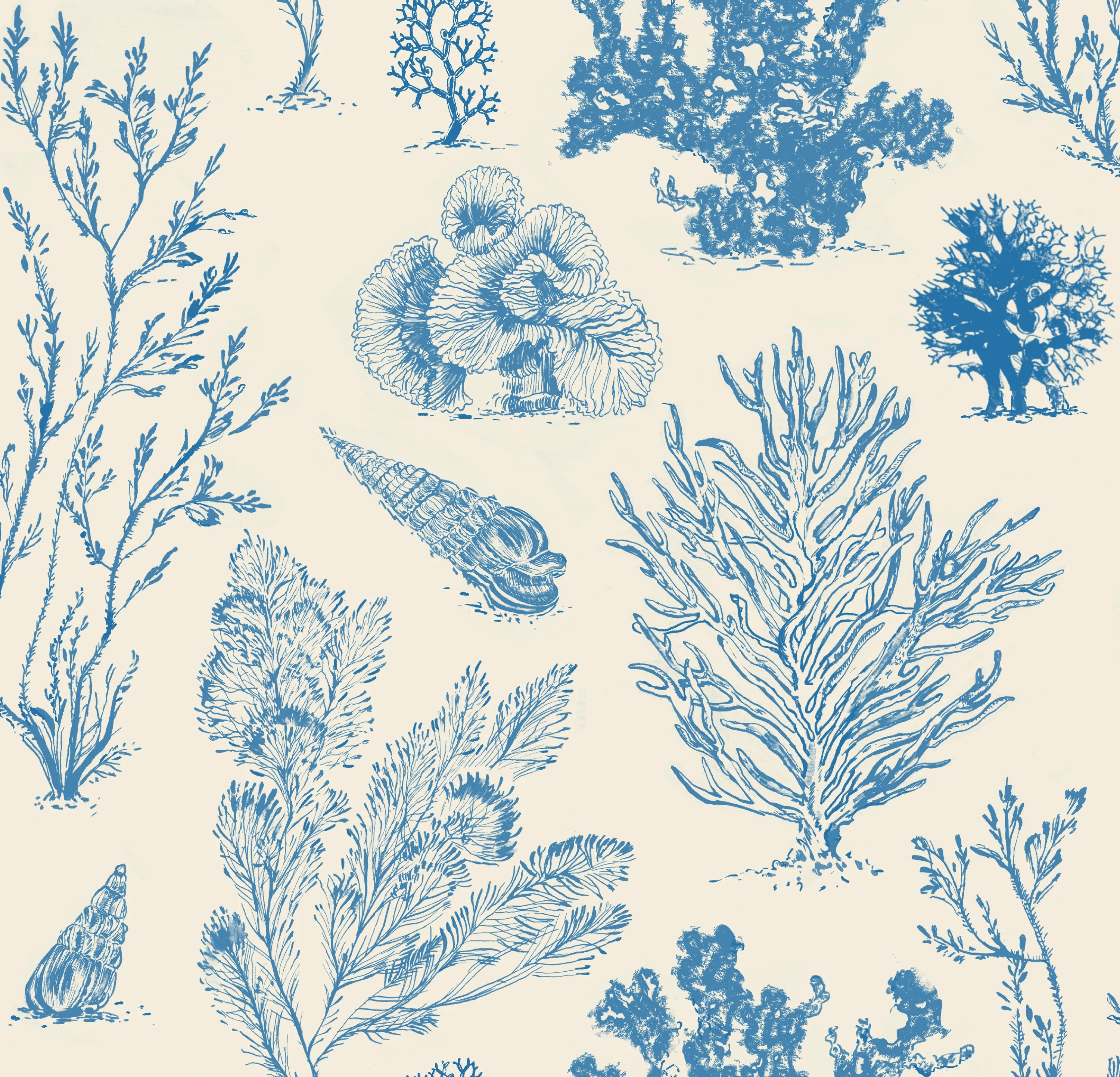 Coral Etchings Wallpaper - OCEAN