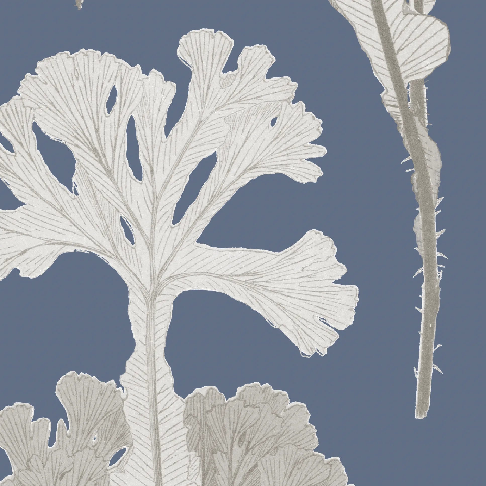 Sea Cabbage Fabric - Navy