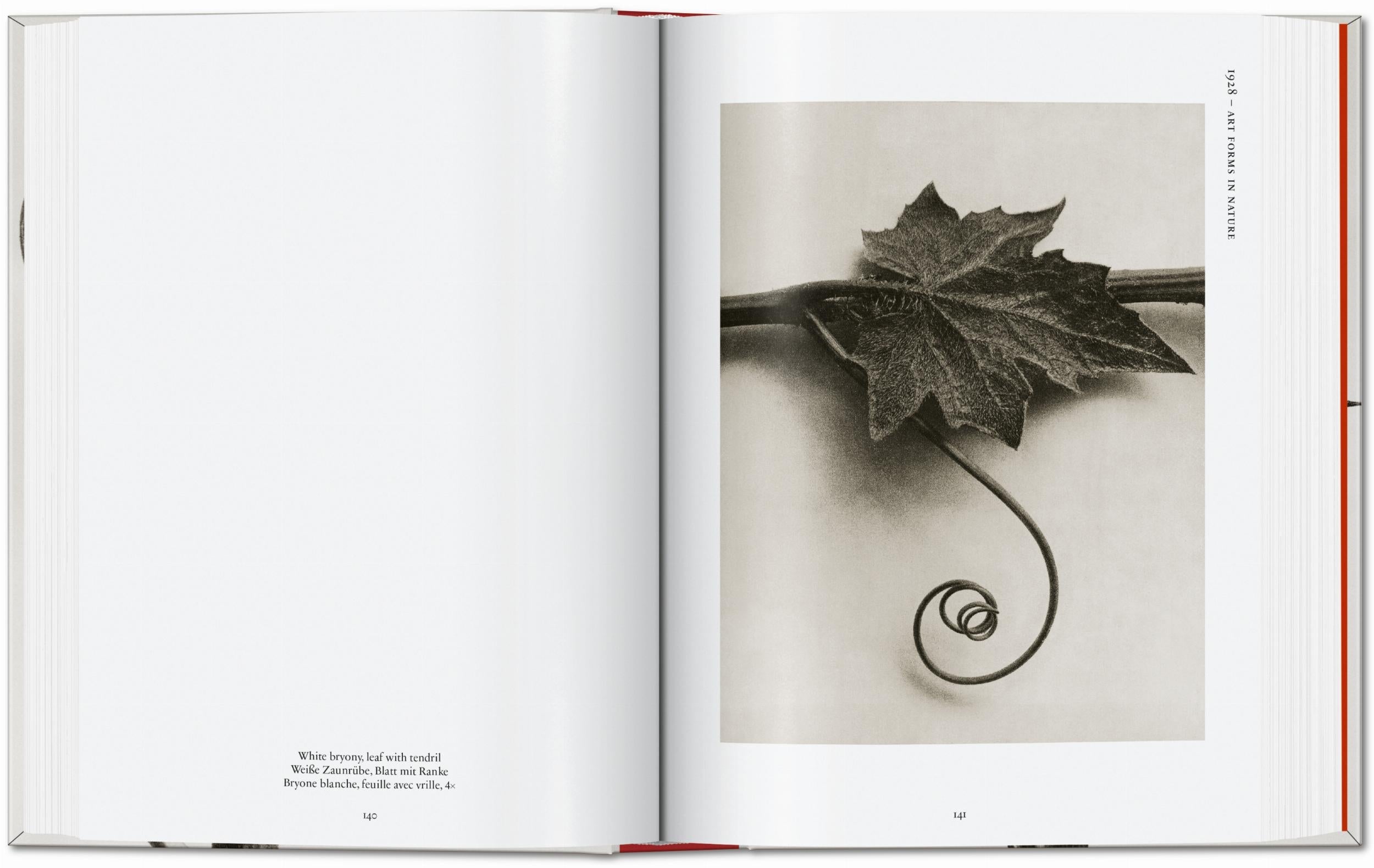 Karl Blossfeldt. The Complete Published Work. 45th Ed. (German, French, English)