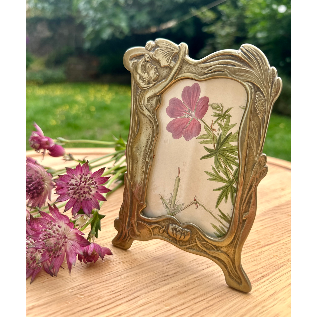 ANTIQUE BOTANICAL IN ART NOUVEAU FRAME