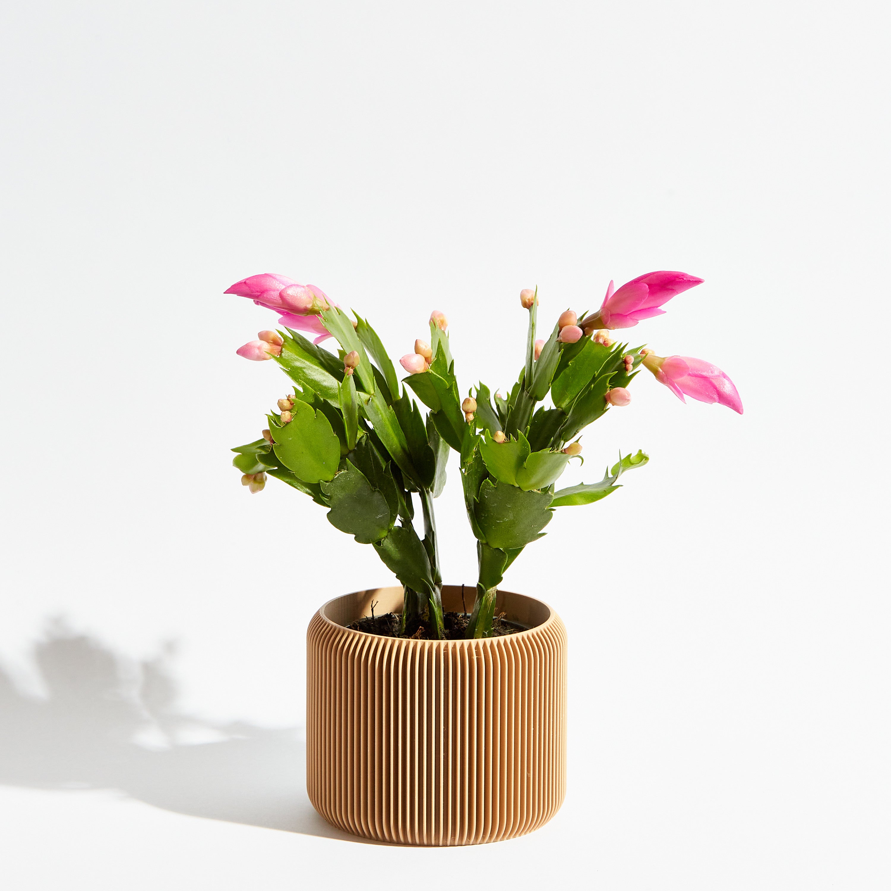 Turbin pot - Sand beige