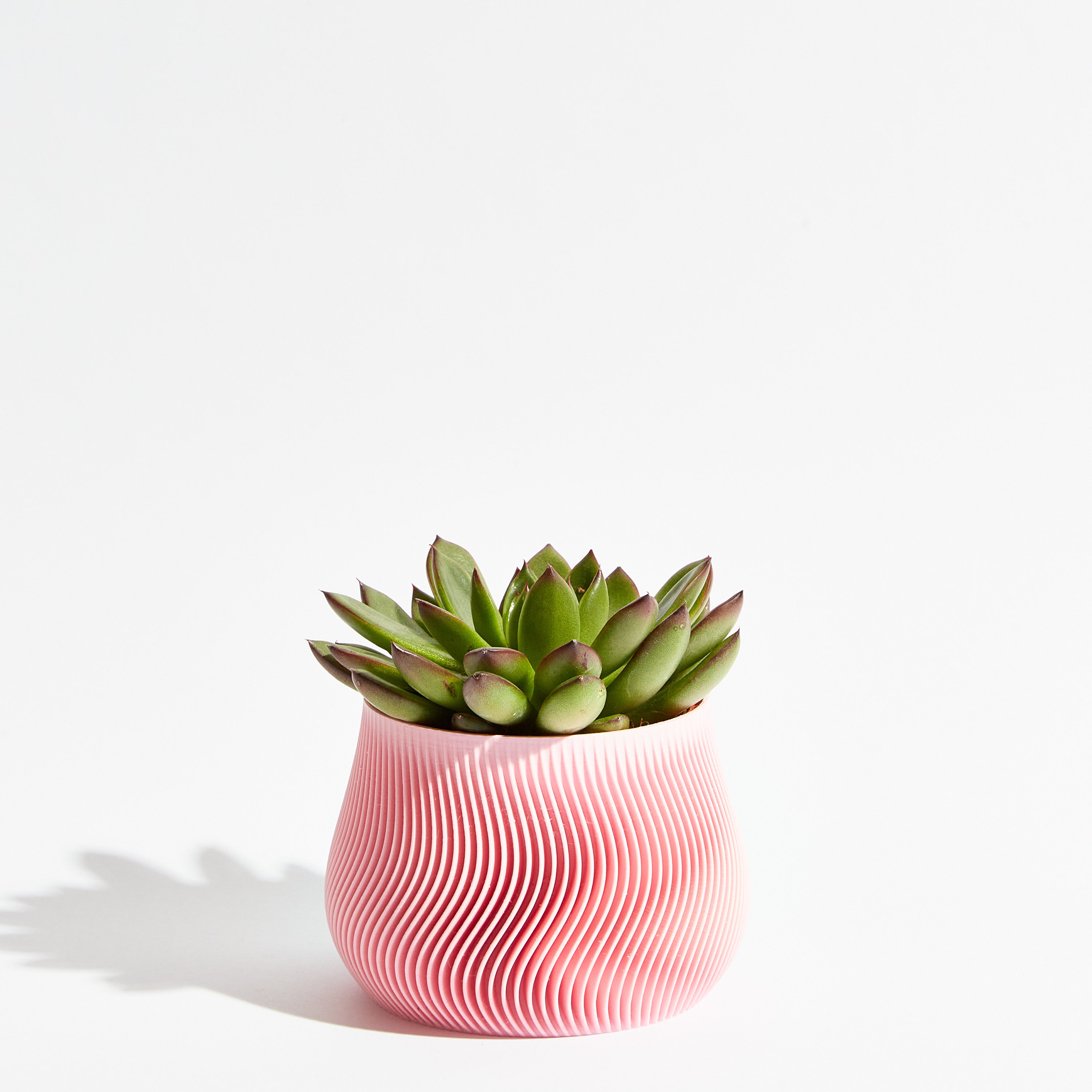 Groovy pot - Sakura pink