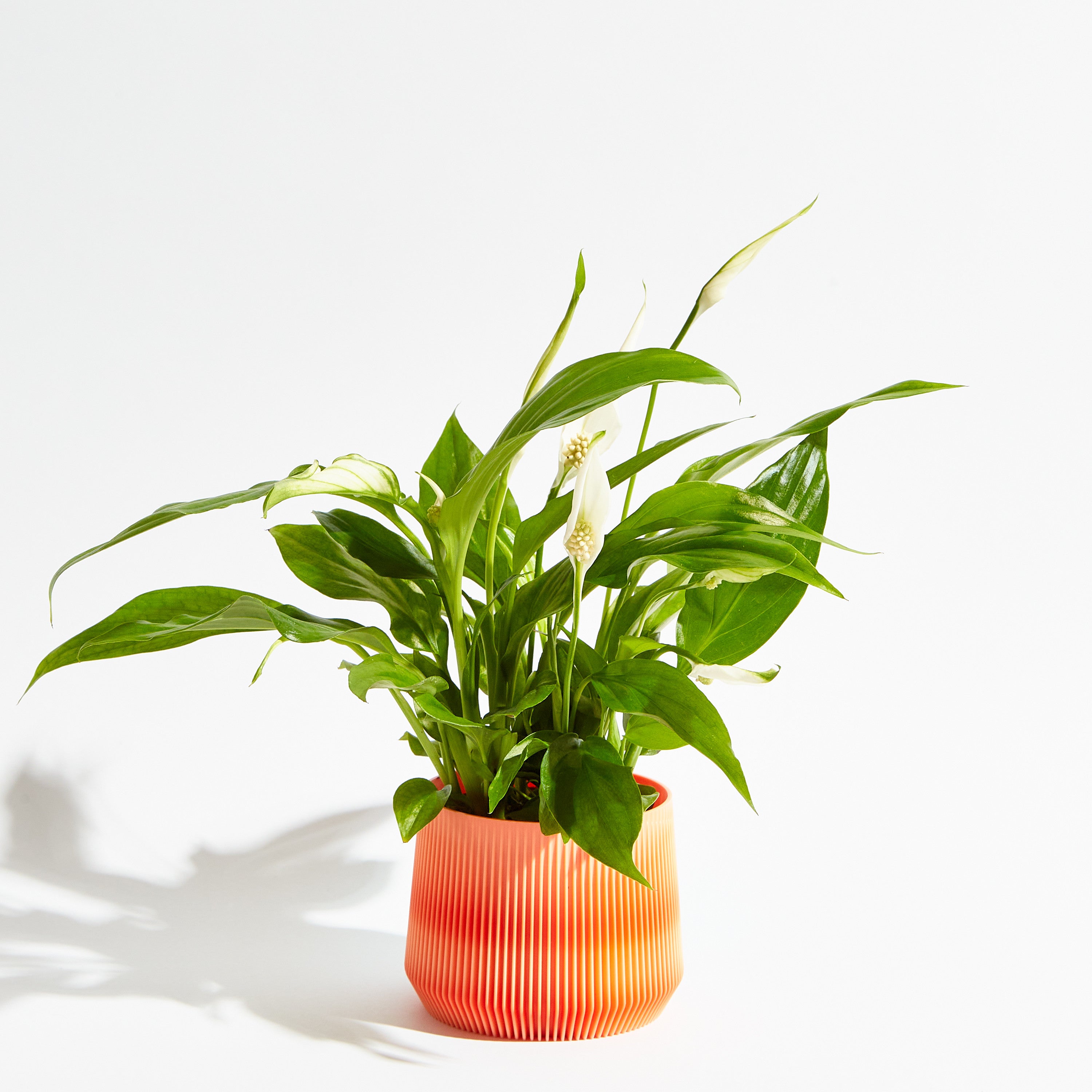 Pillar pot - Coral orange