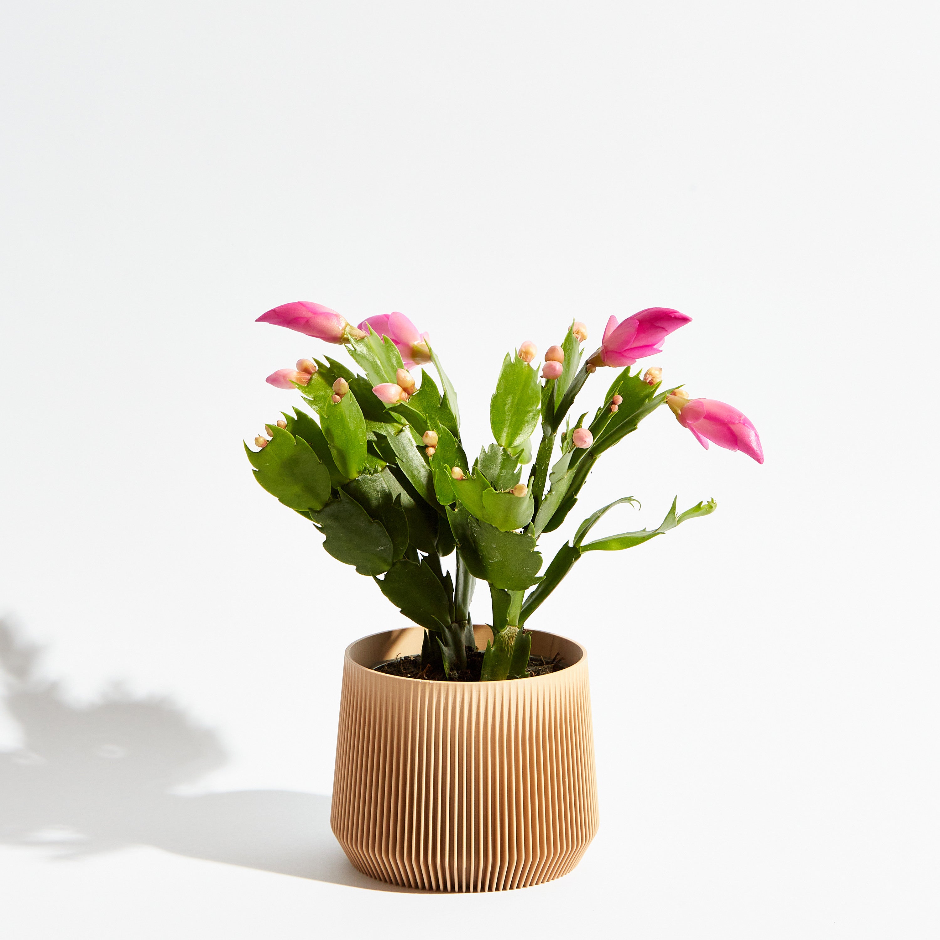 Pillar pot - Sand beige