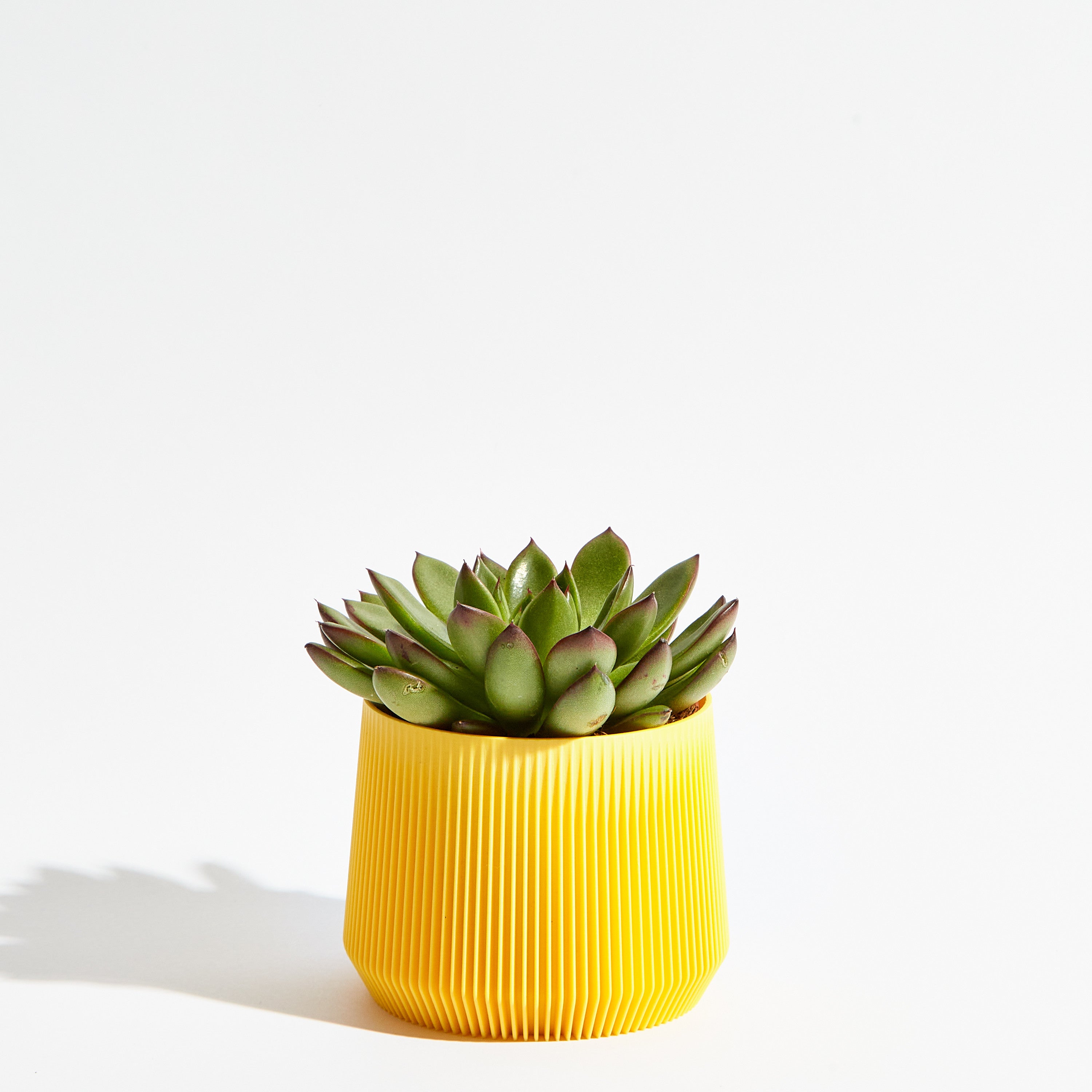 Pillar pot - Banana yellow